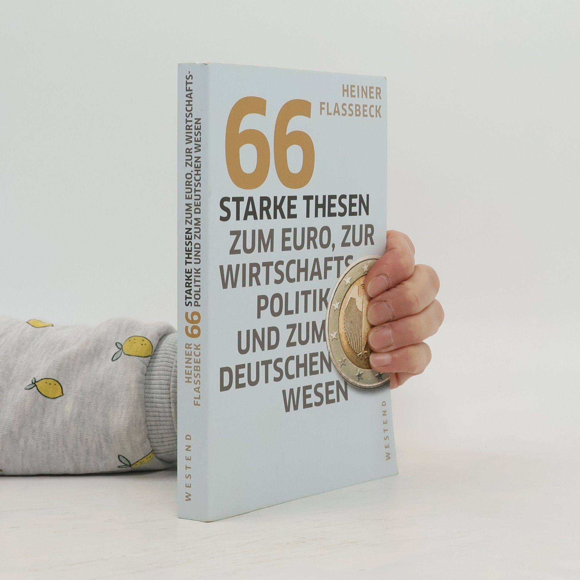 Heiner Flassbeck 66 starke Thesen zum Euro, zur Wirtschaftspolitik und zum deutschen Wesen