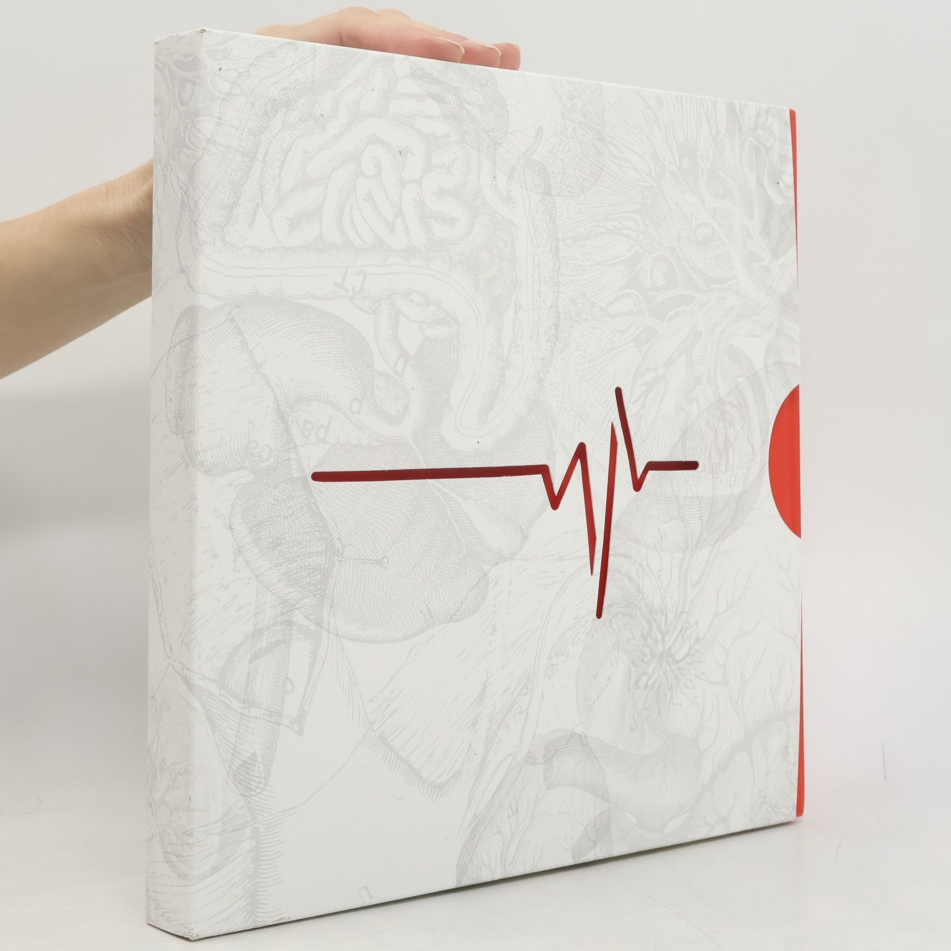 Collectif d'auteurs IK+EM