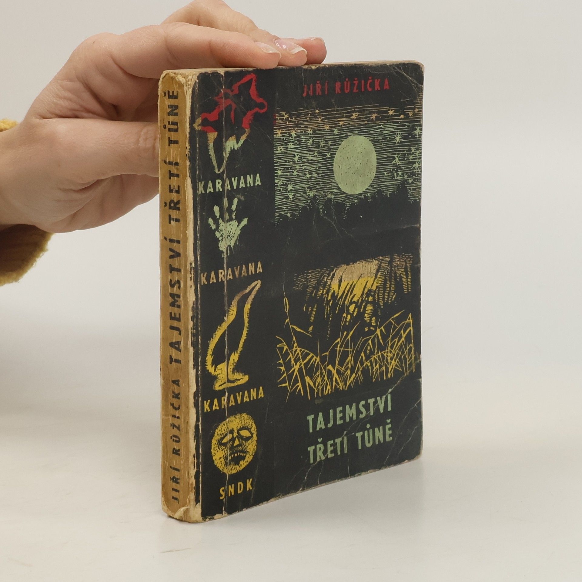 Jiří Růžička Tajemství třetí tůně