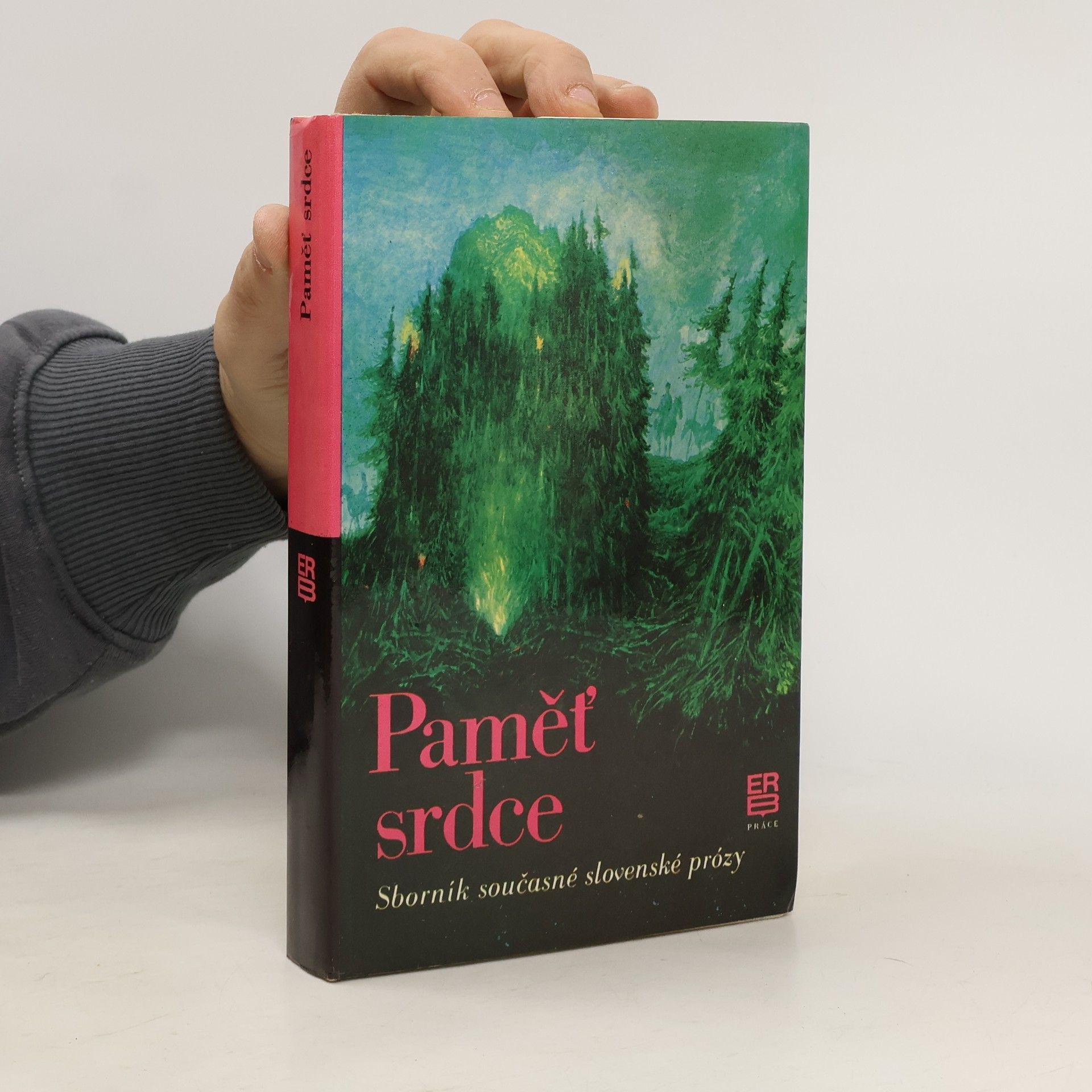 Autorenkollektiv Paměť srdce. Sborník současné slovenské prózy