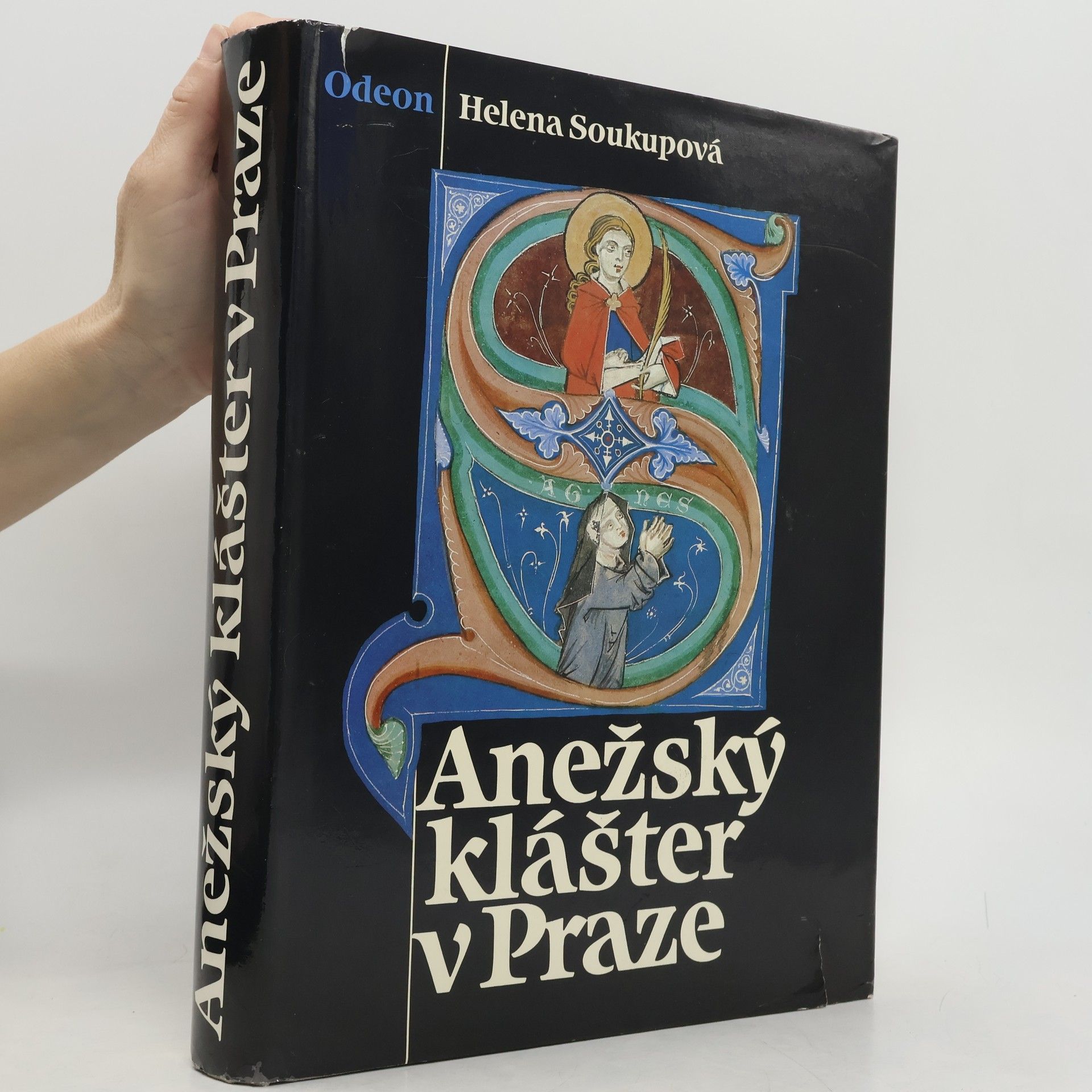 Helena Soukupová Anežský klášter v Praze