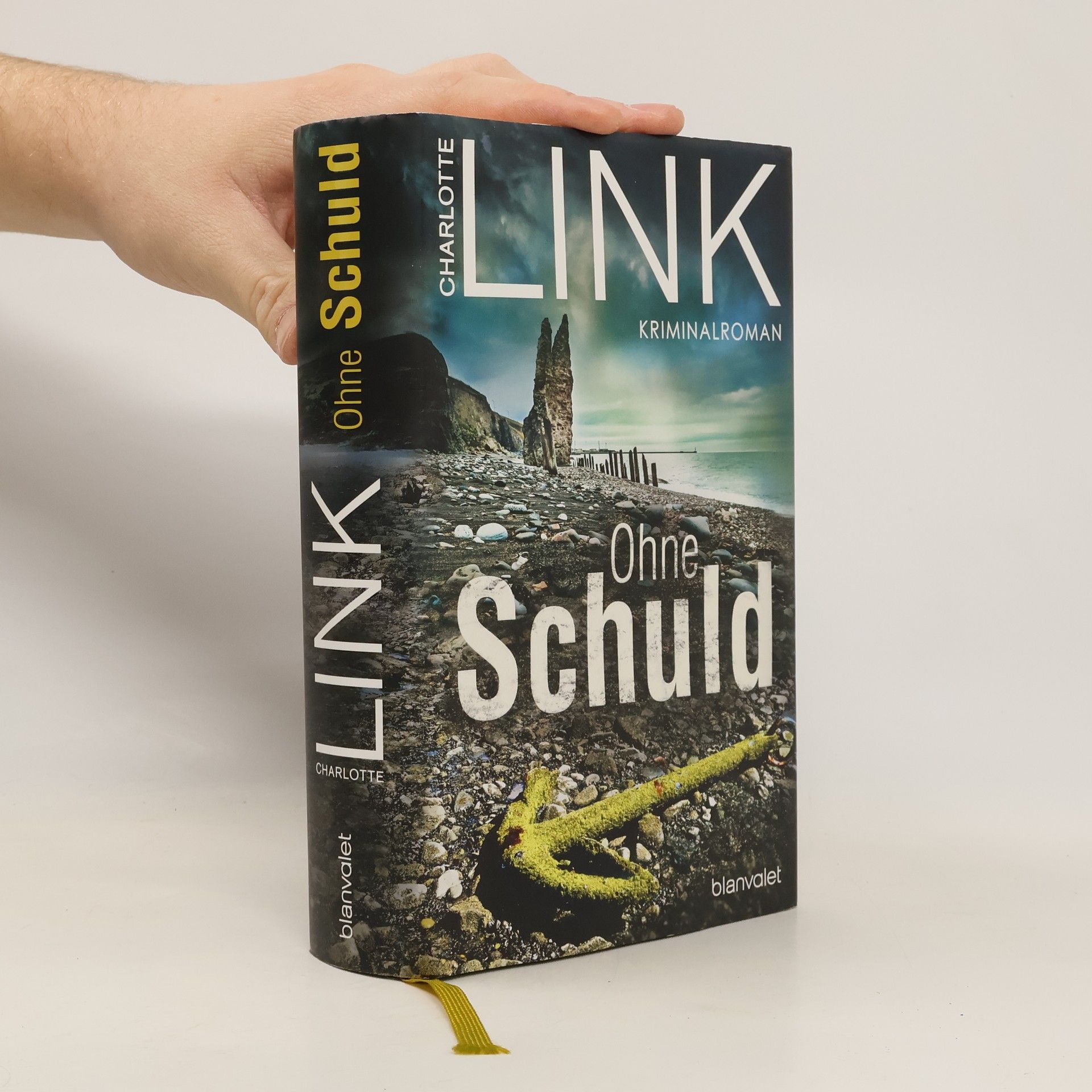 Charlotte Link Ohne Schuld