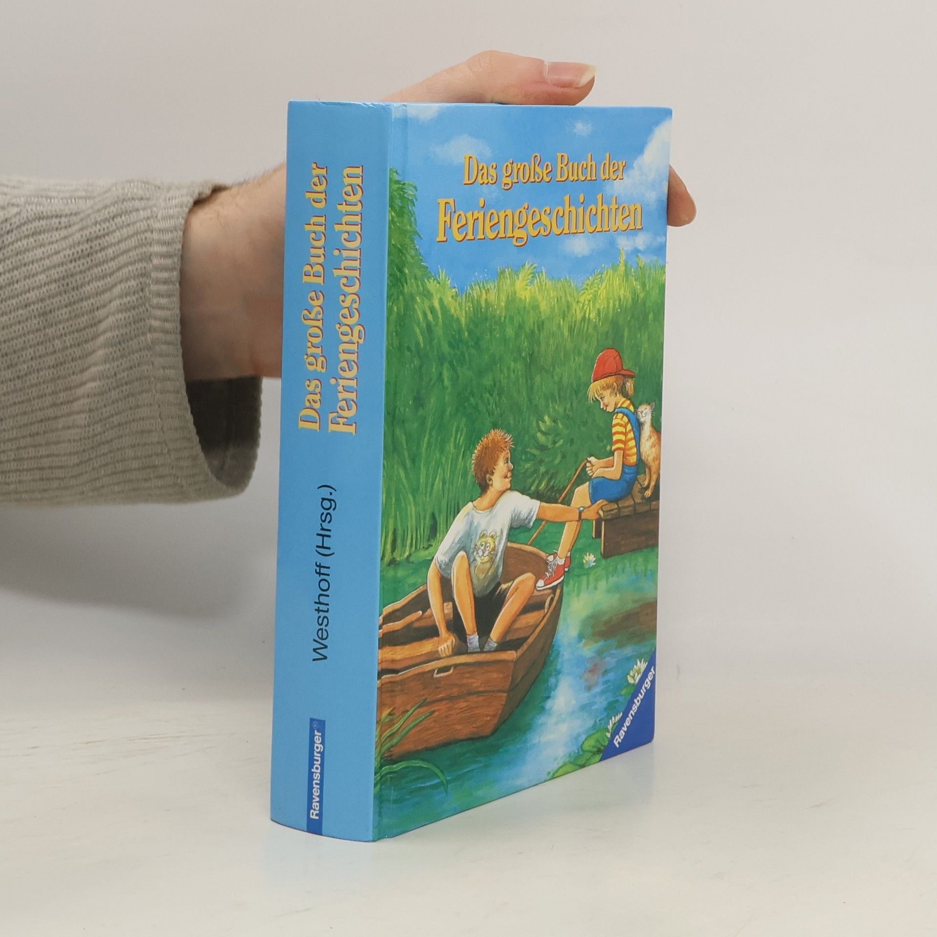 Collectif d'auteurs Das große Buch der Feriengeschichten