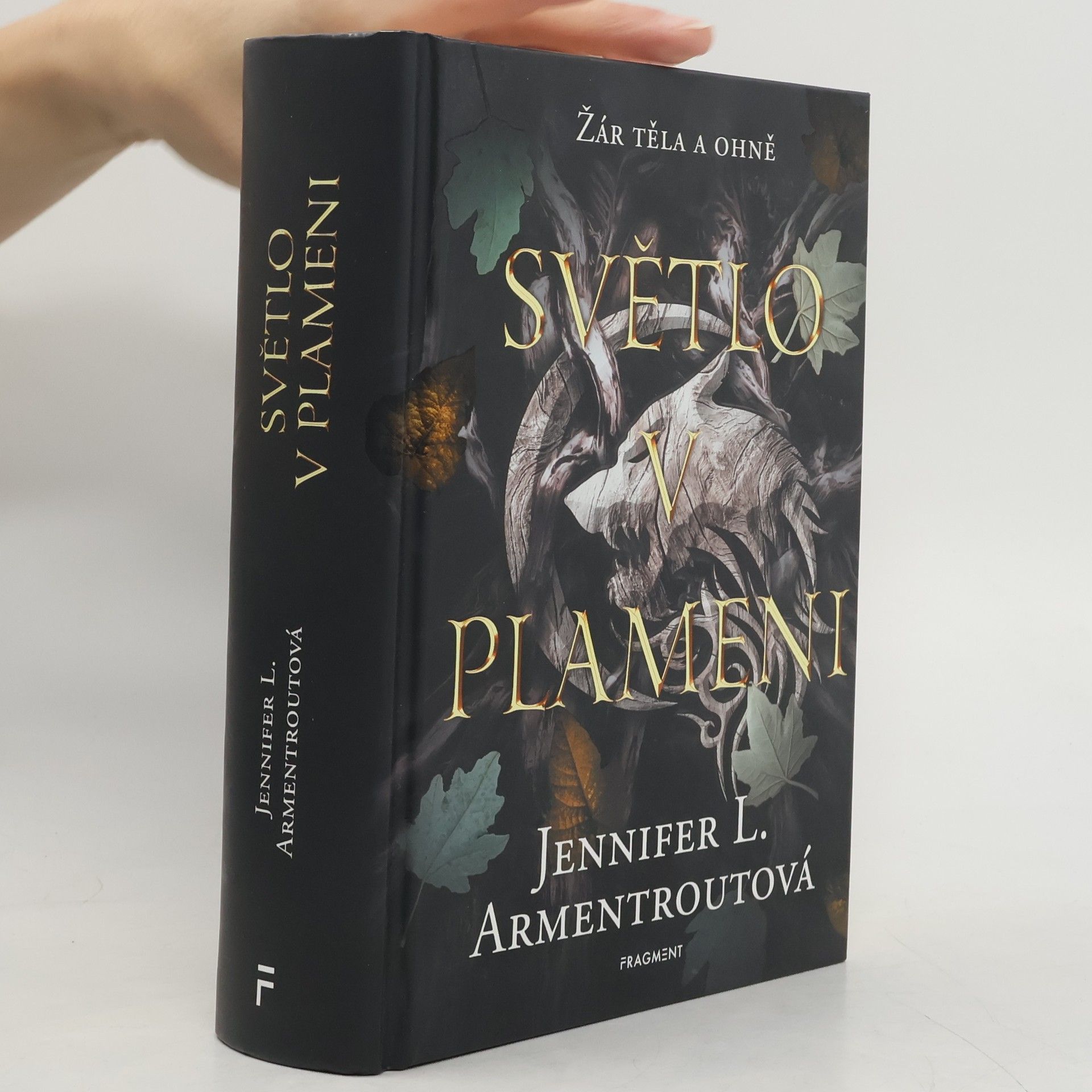 Jennifer Armentrout Světlo v plameni