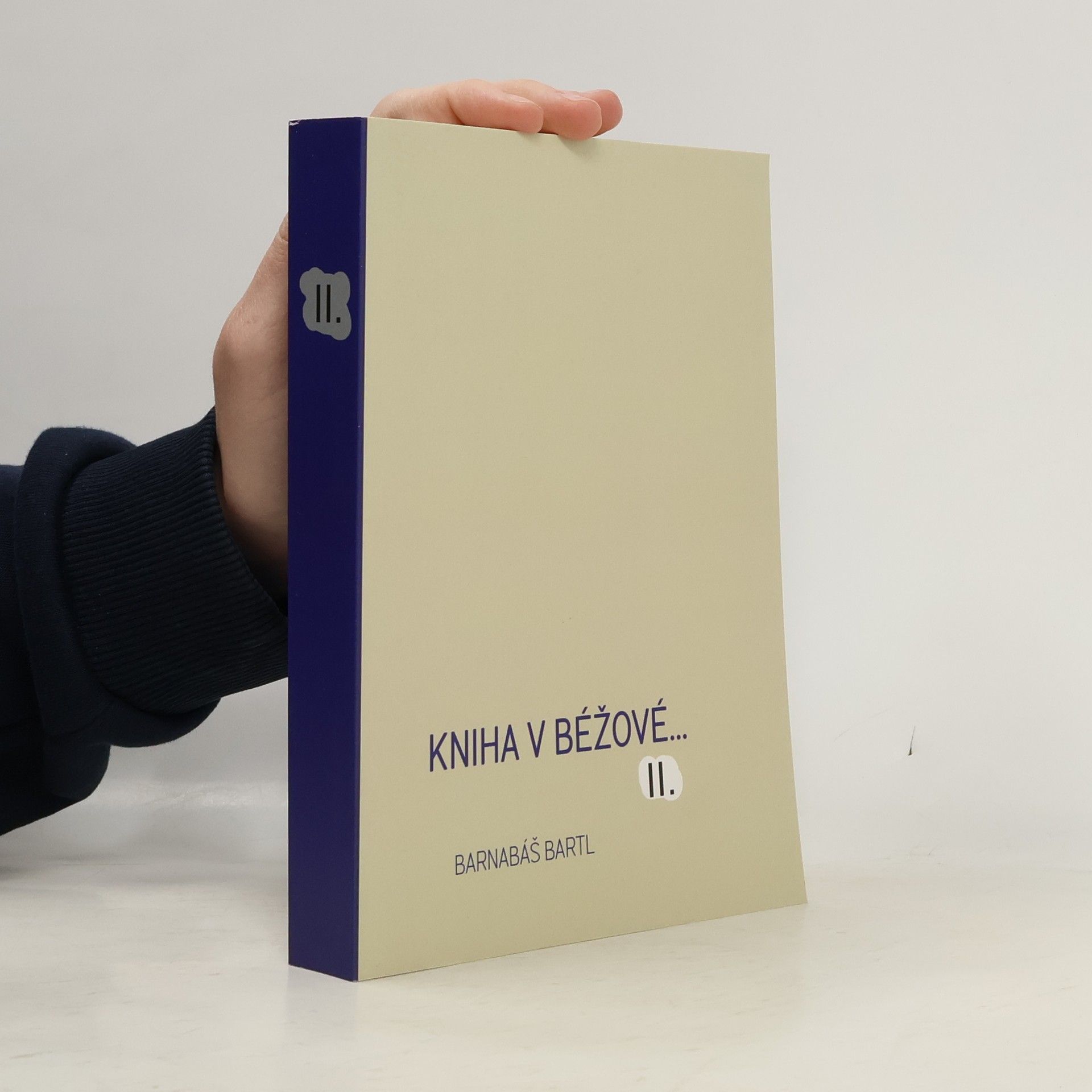 Kniha v béžové II.