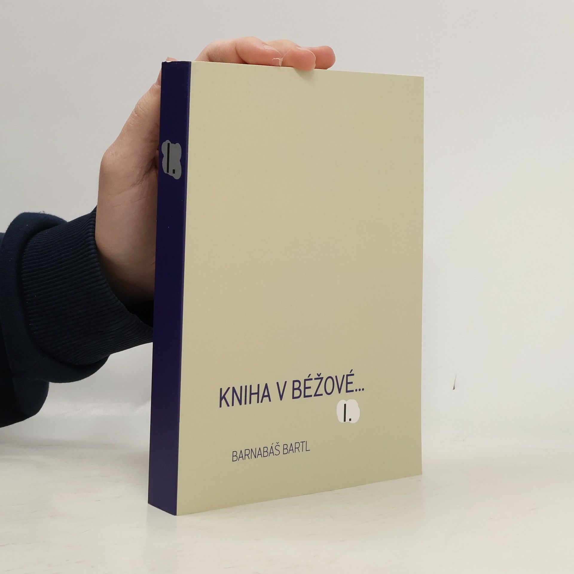 Kniha v béžové I.