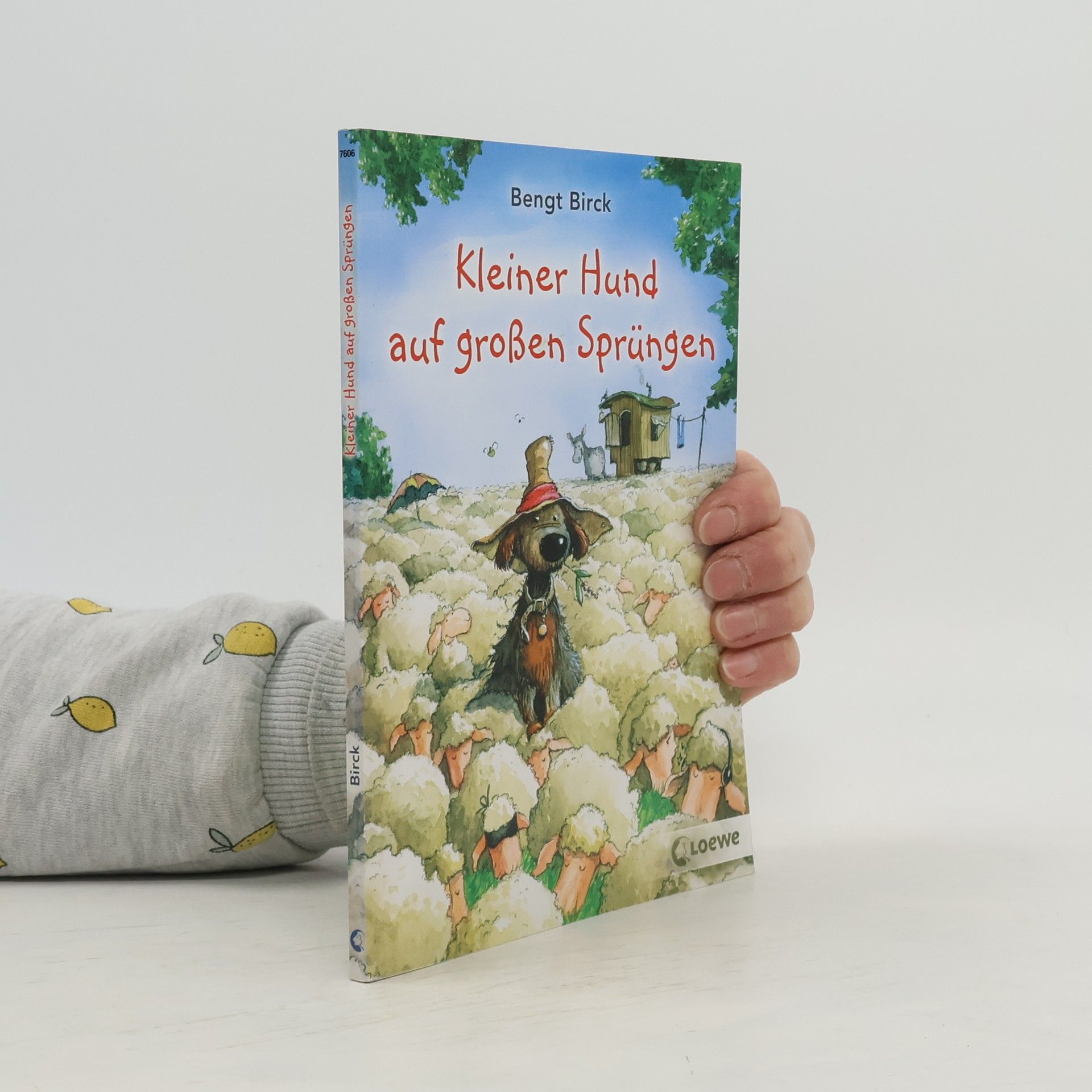 Kleiner Hund auf großen Sprüngen