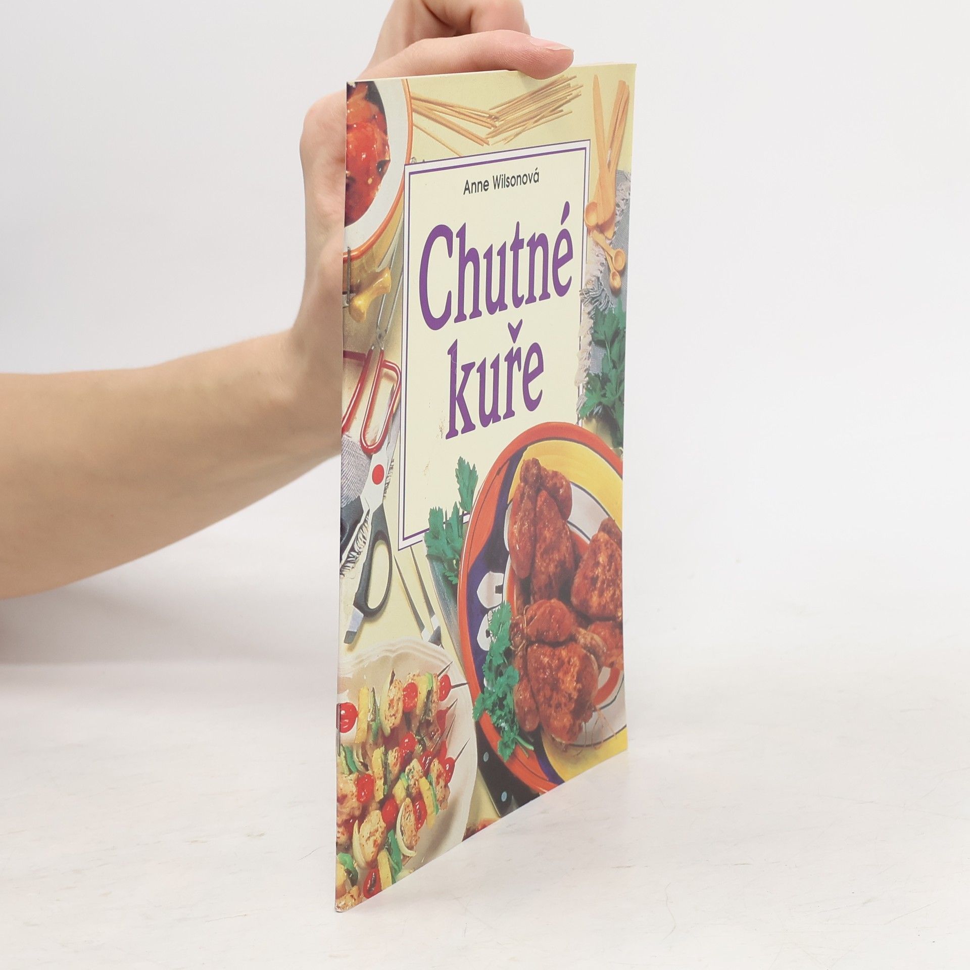 Anne Wilson Chutné kuře