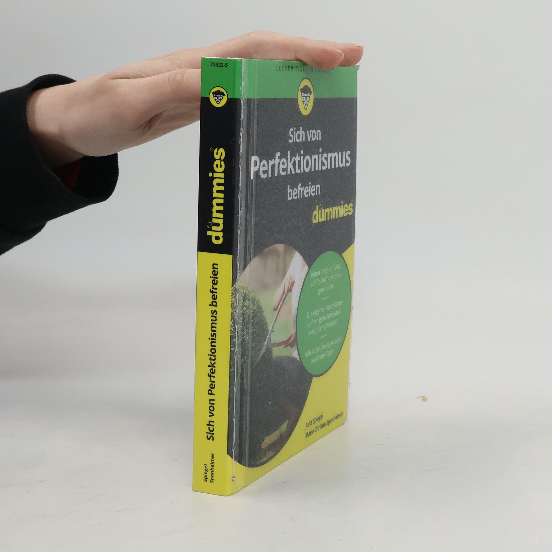 Marie Christin Sponheimer Sich von Perfektionismus befreien für Dummies