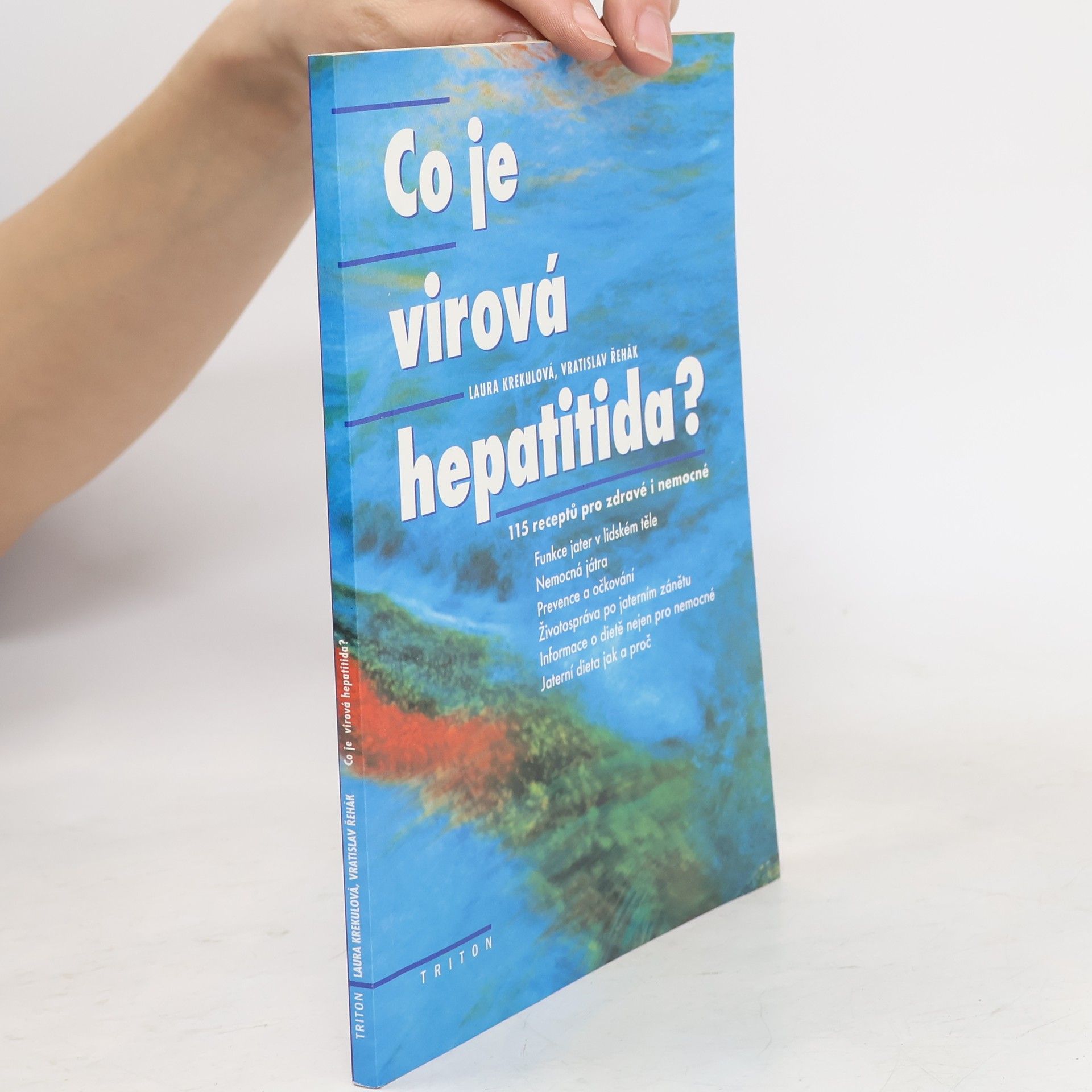 Co je virová hepatitida?