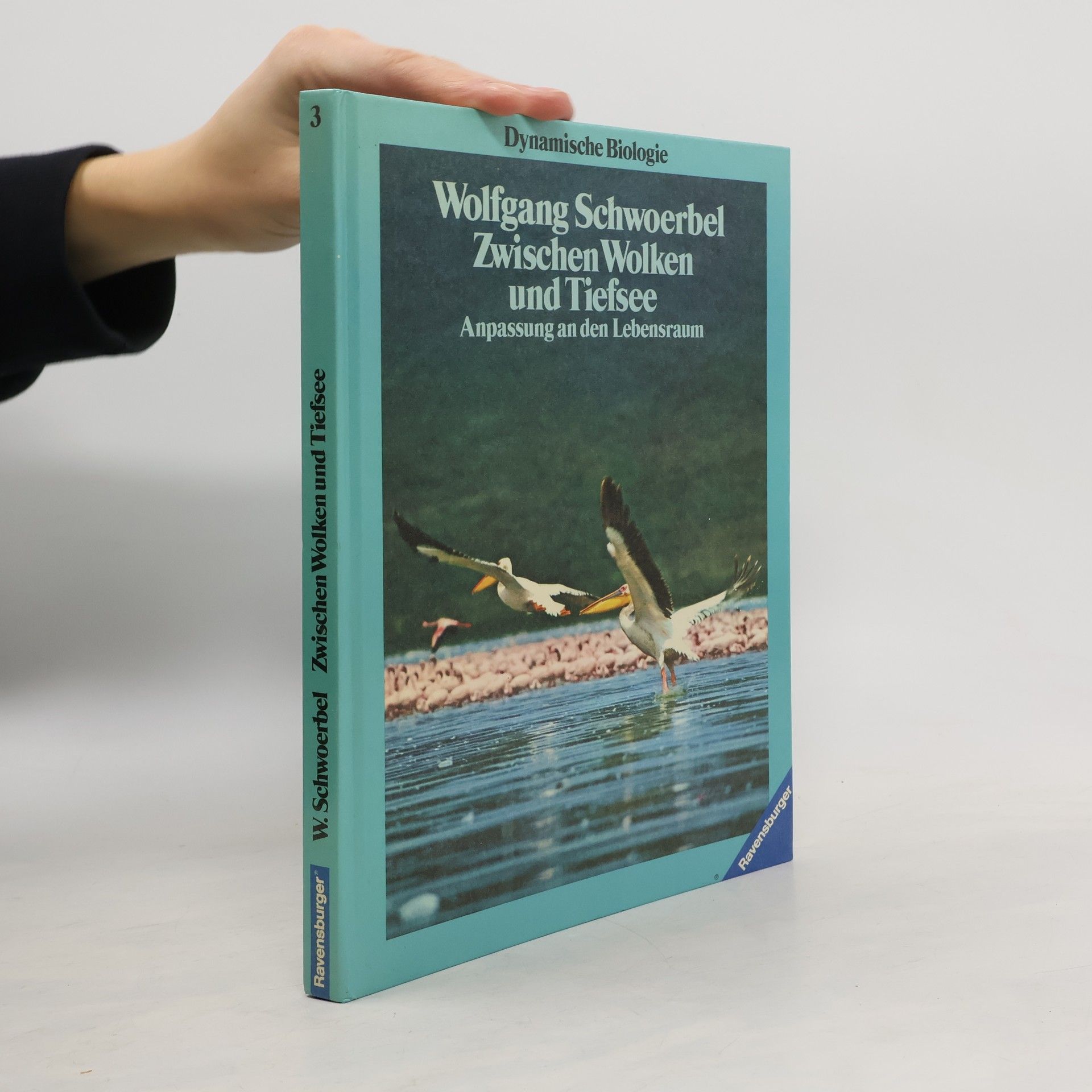 Zwischen Wolken und Tiefsee