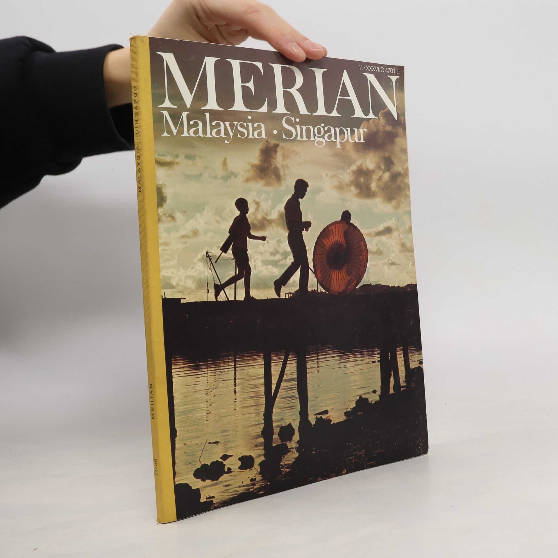 AA.VV. Malaysia. Singapur