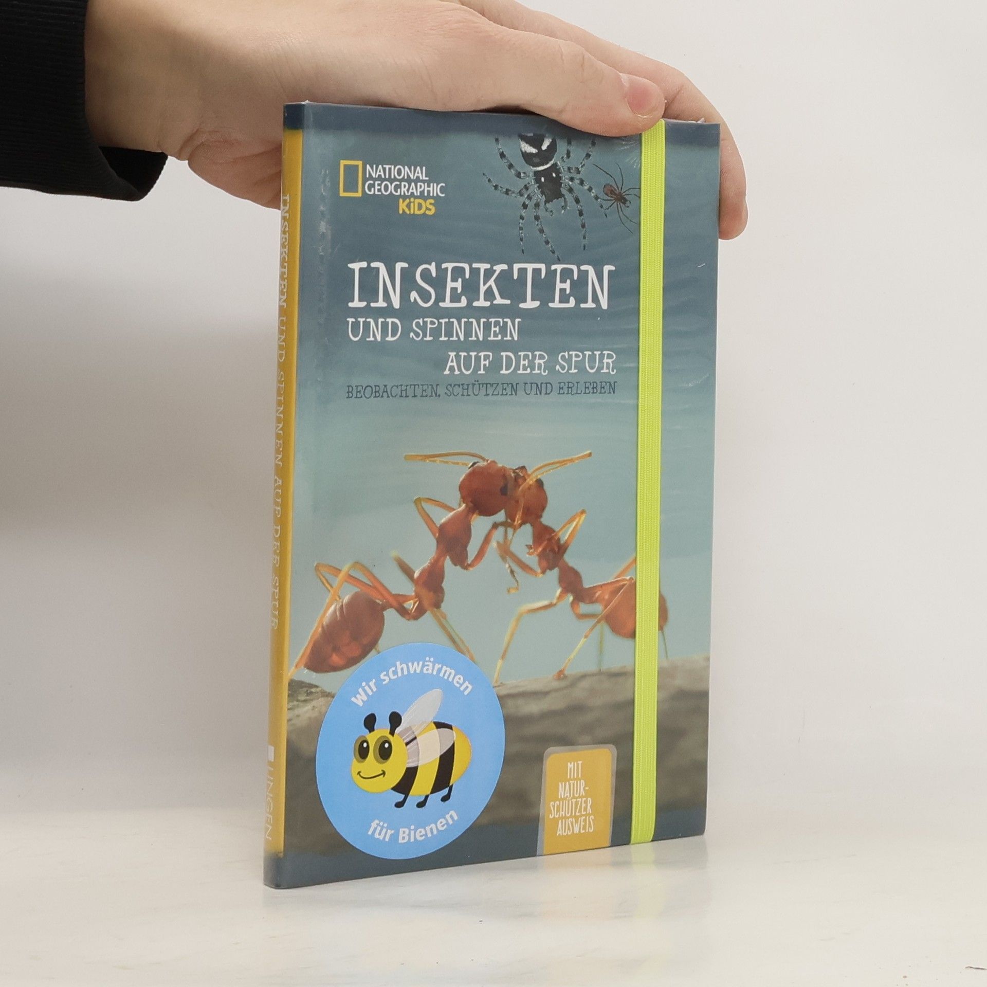 Kolektív autorov Insekten und spinnen auf der Spur