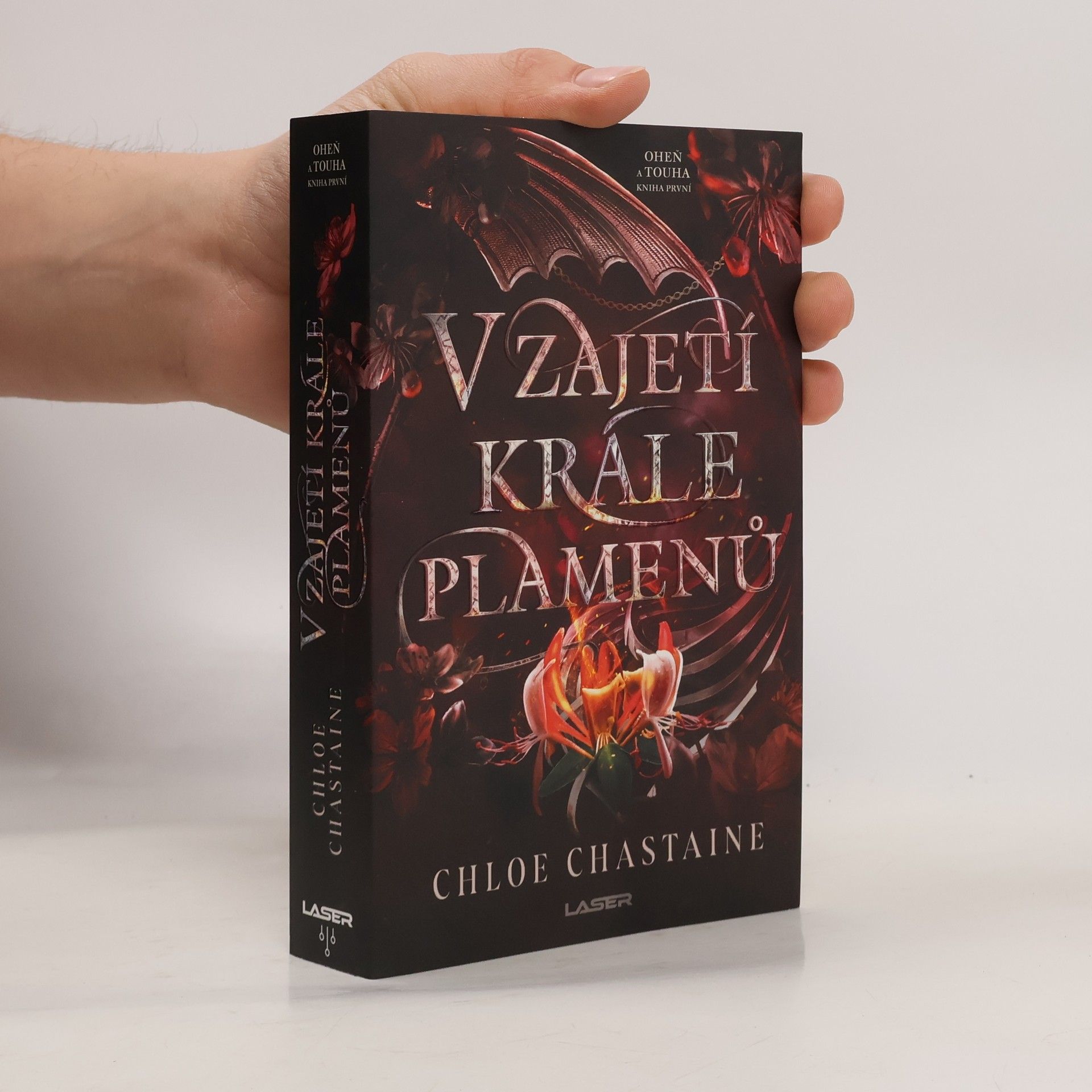 V zajetí krále plamenů