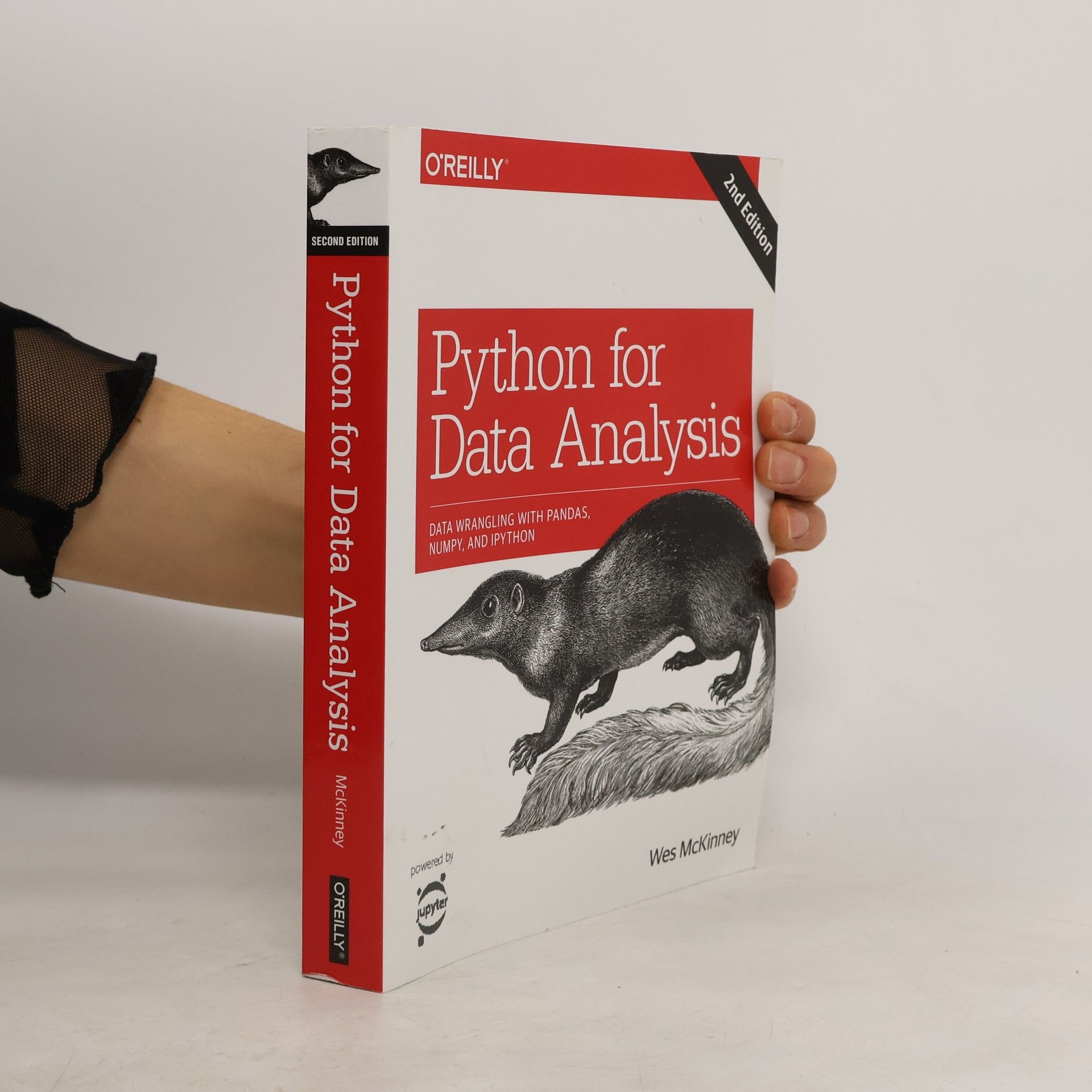 Wes McKinney Python for Data Analysis