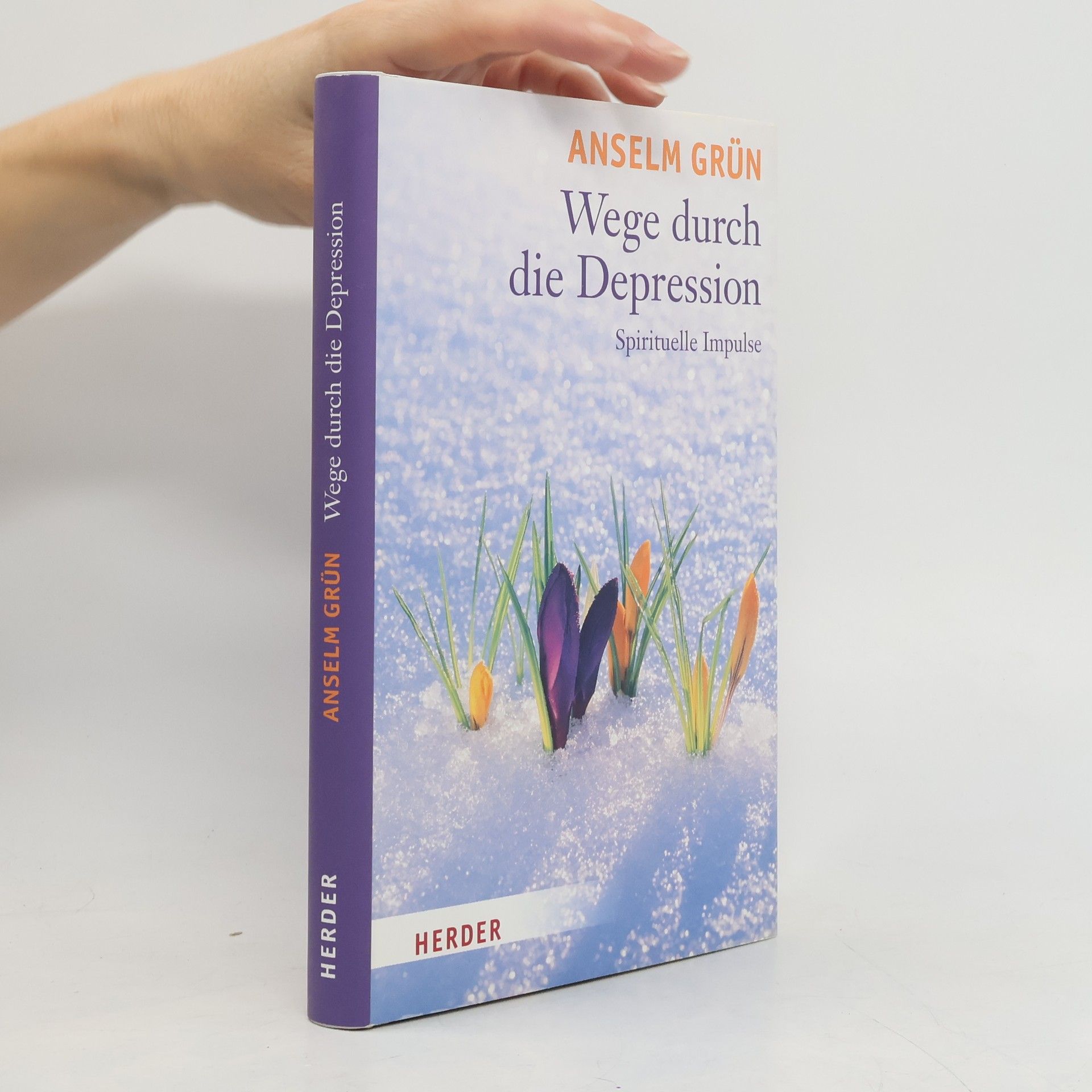 Anselm Grün Wege durch die Depression