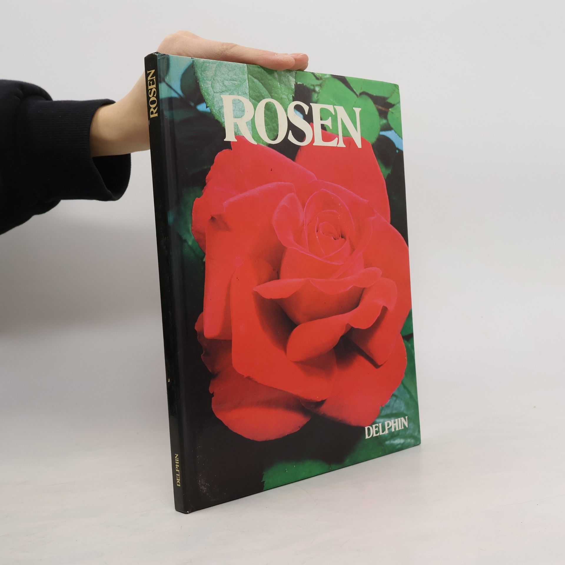 Jacqueline Seymour Rosen