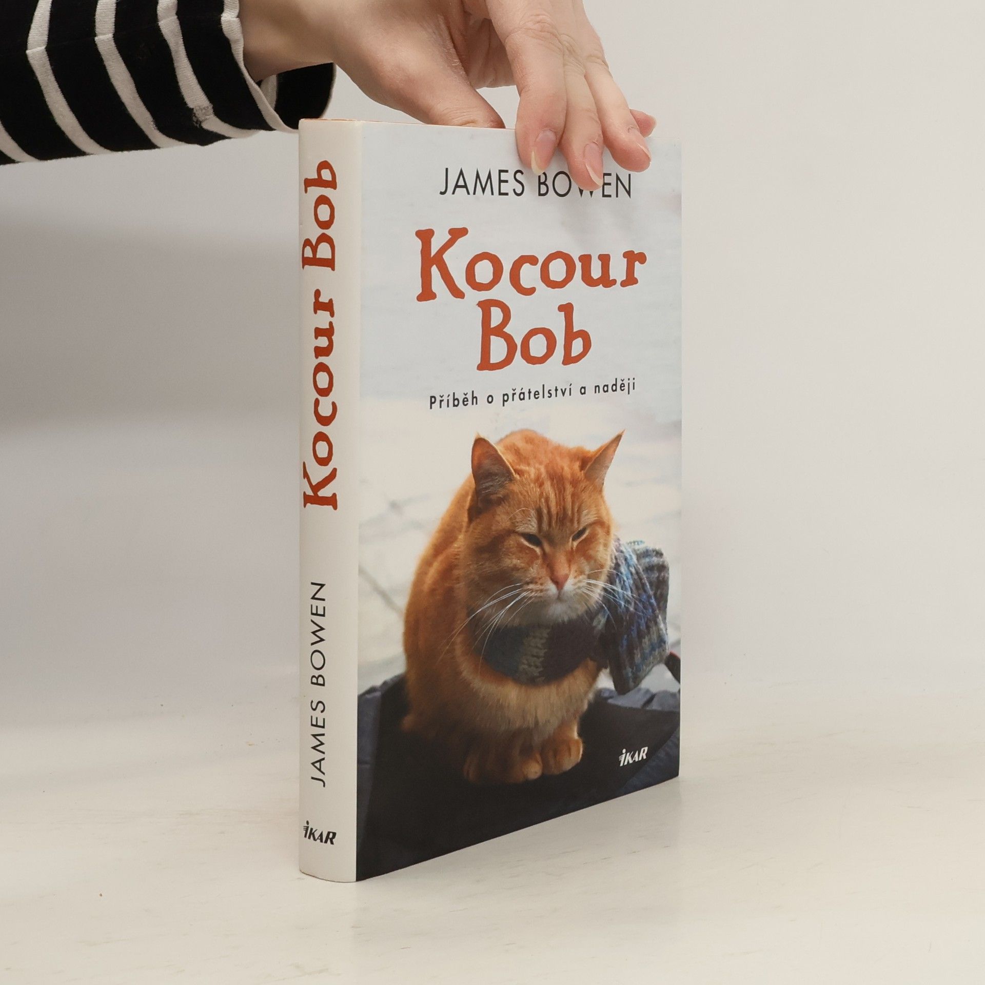Kocour Bob
