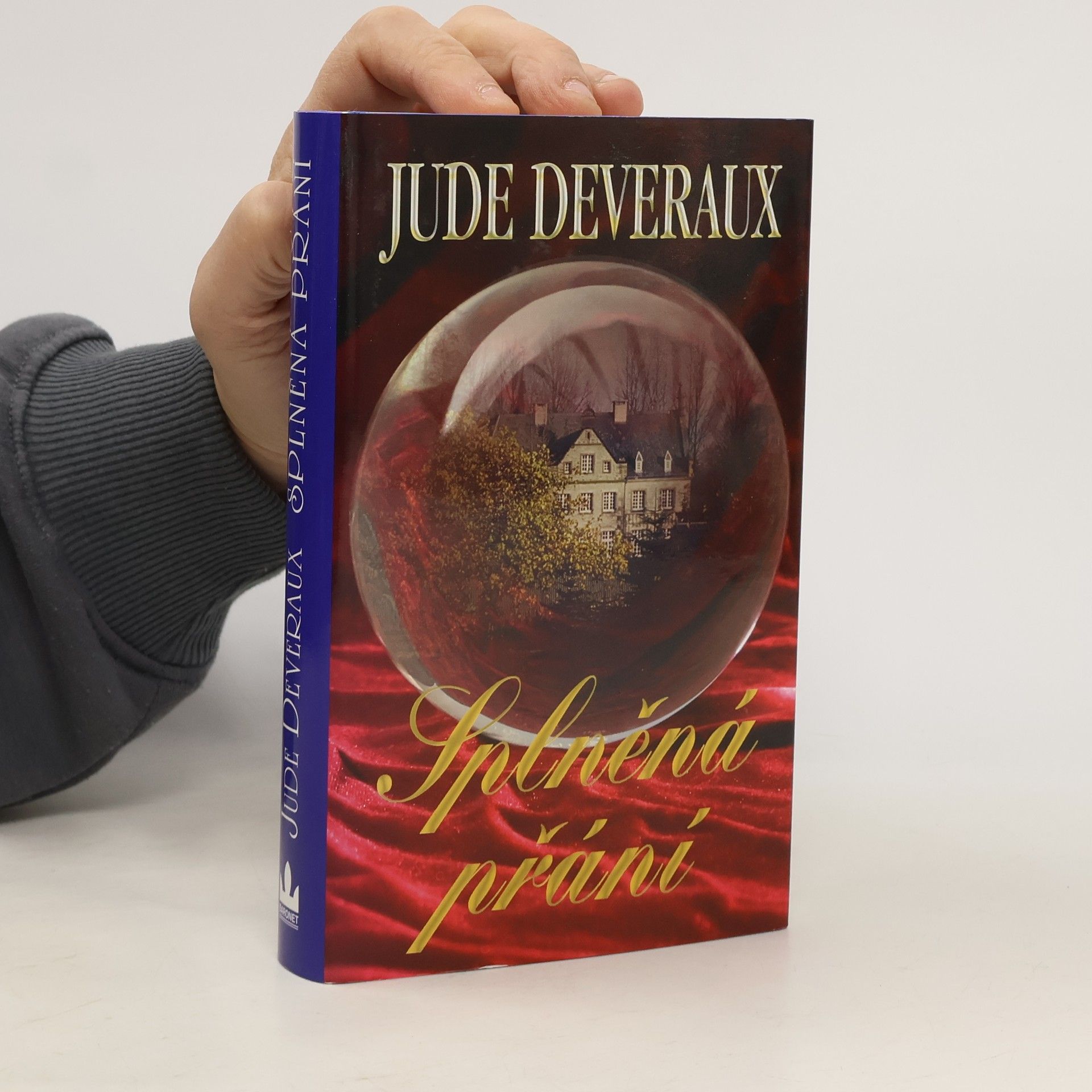 Jude Deveraux Splněná přání