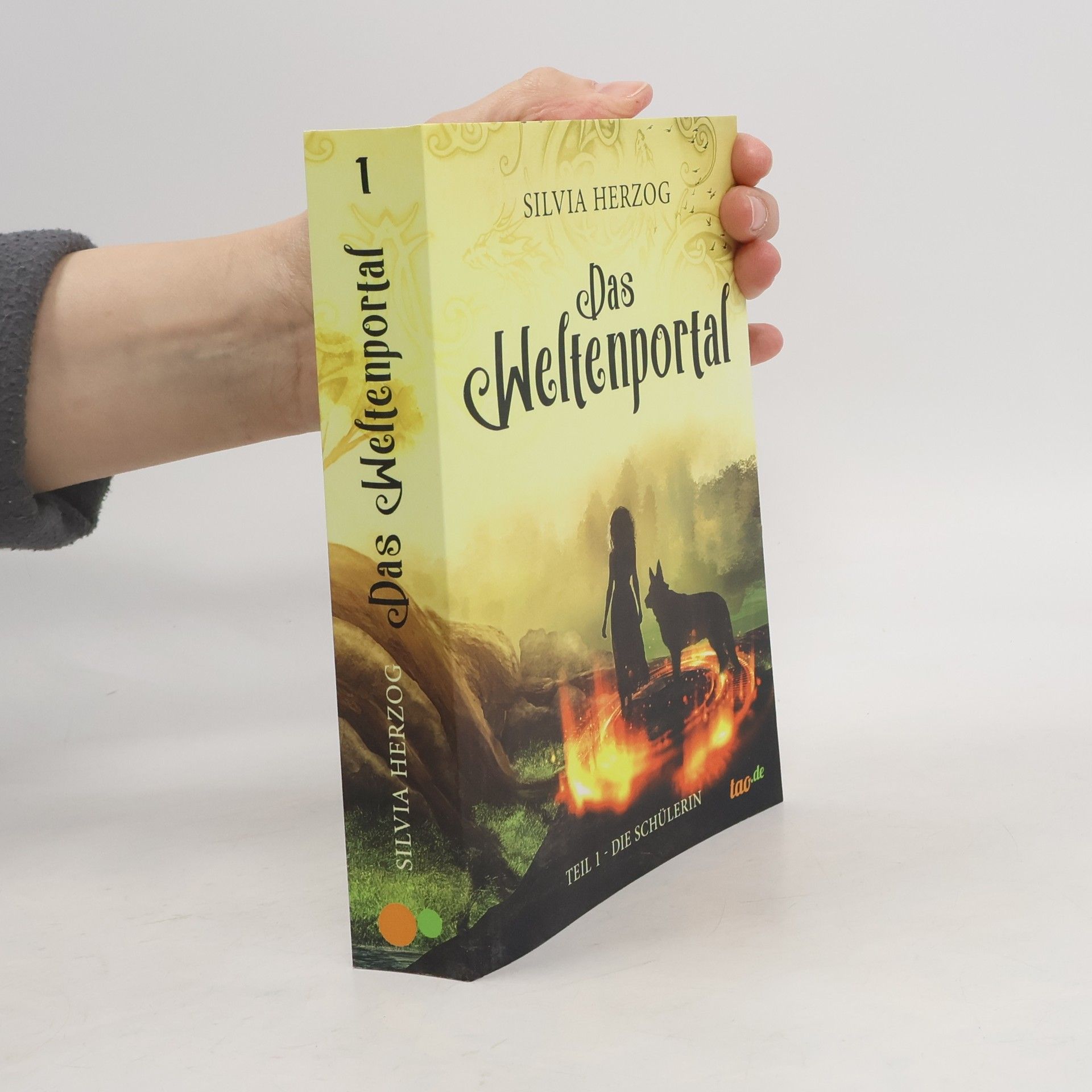 Das Weltenportal. Teil 1