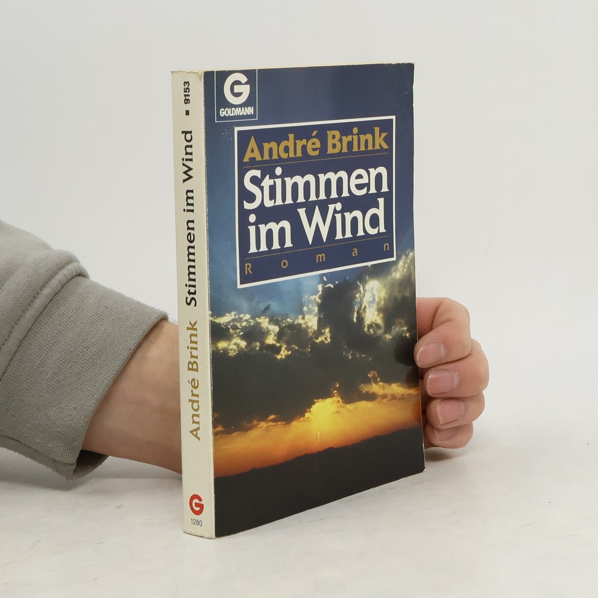 André Brink Stimmen im Wind