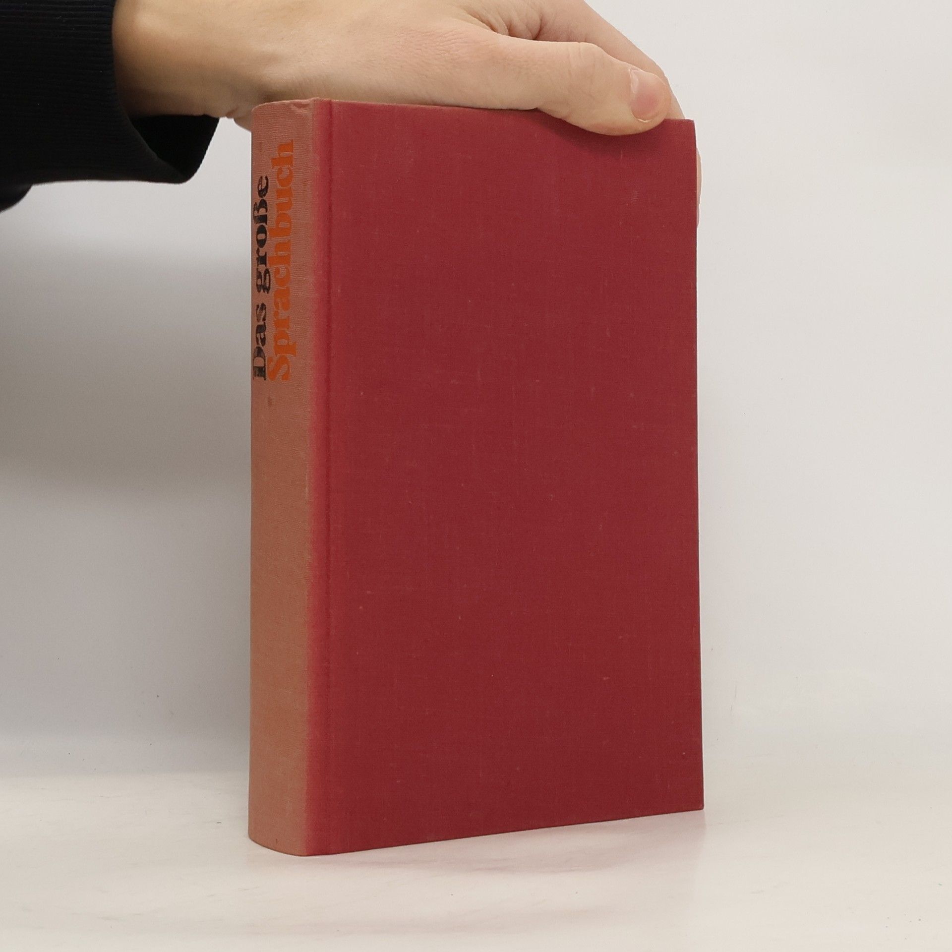 Collectif d'auteurs Das große Sprachbuch