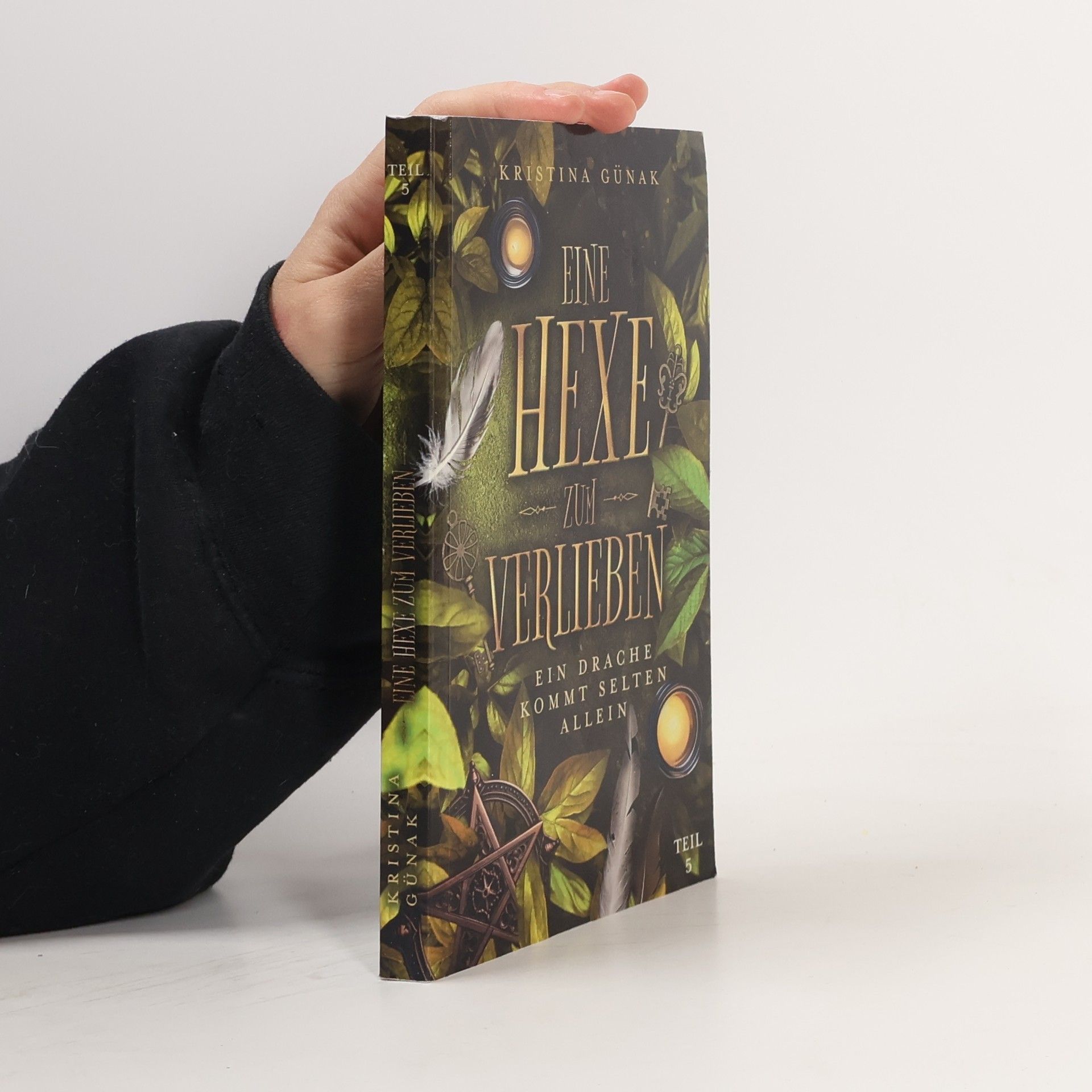 Kristina Günak Ein Drache kommt selten allein