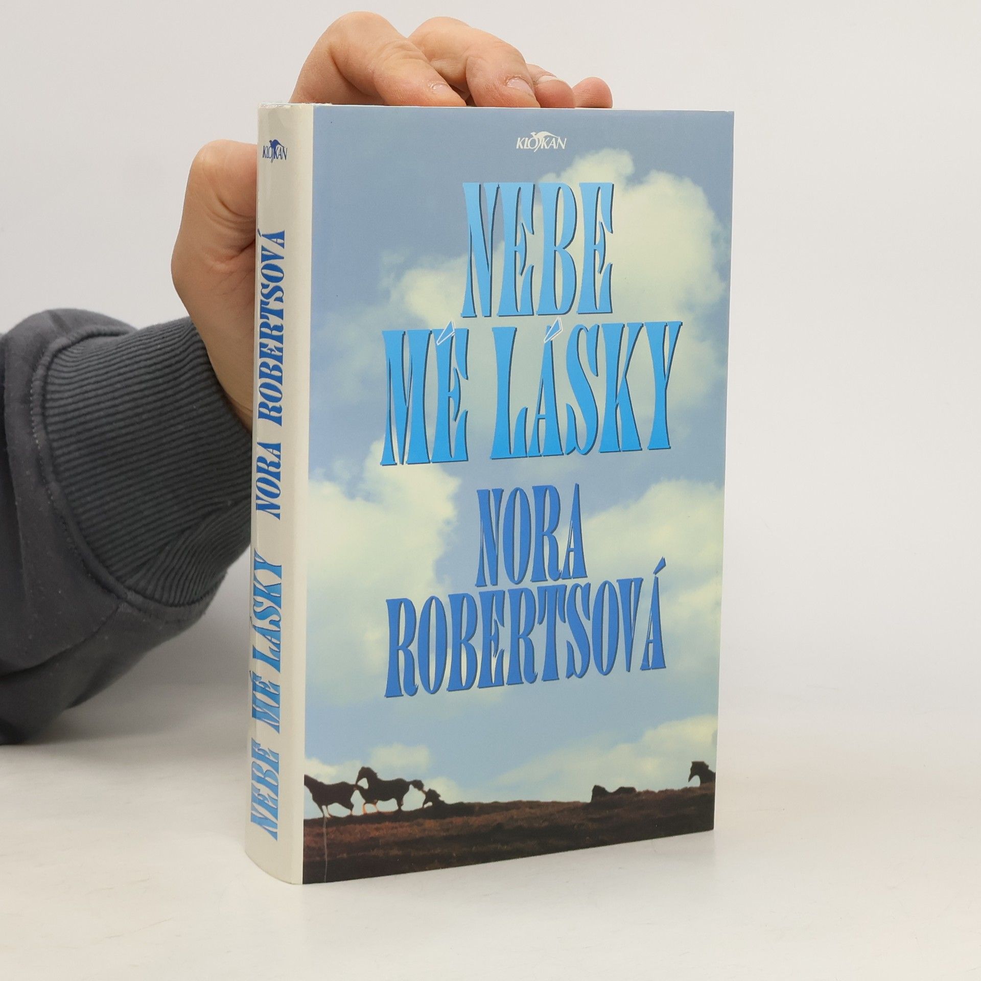 Nora Roberts Nebe mé lásky