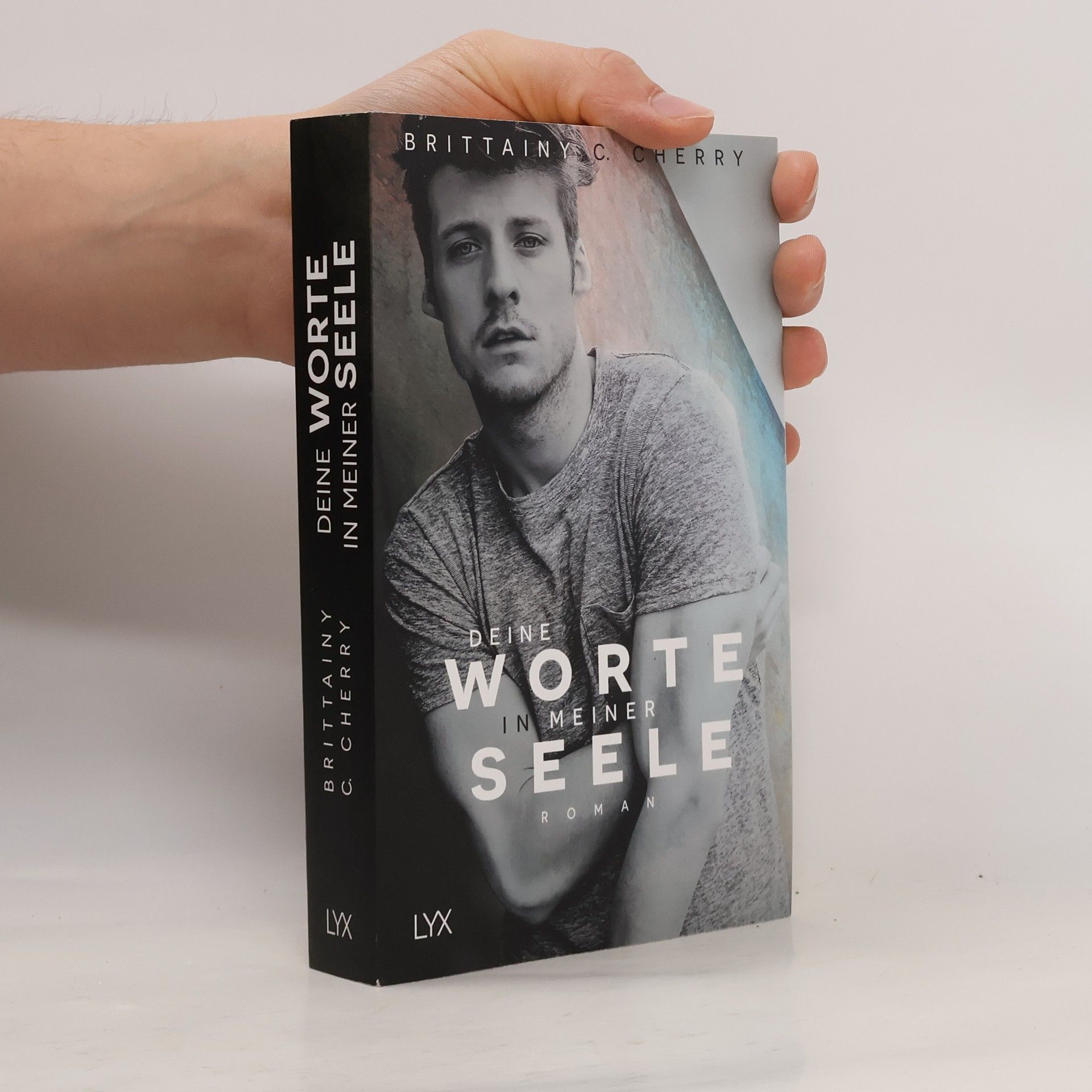 Brittainy C. Cherry Deine Worte in meiner Seele