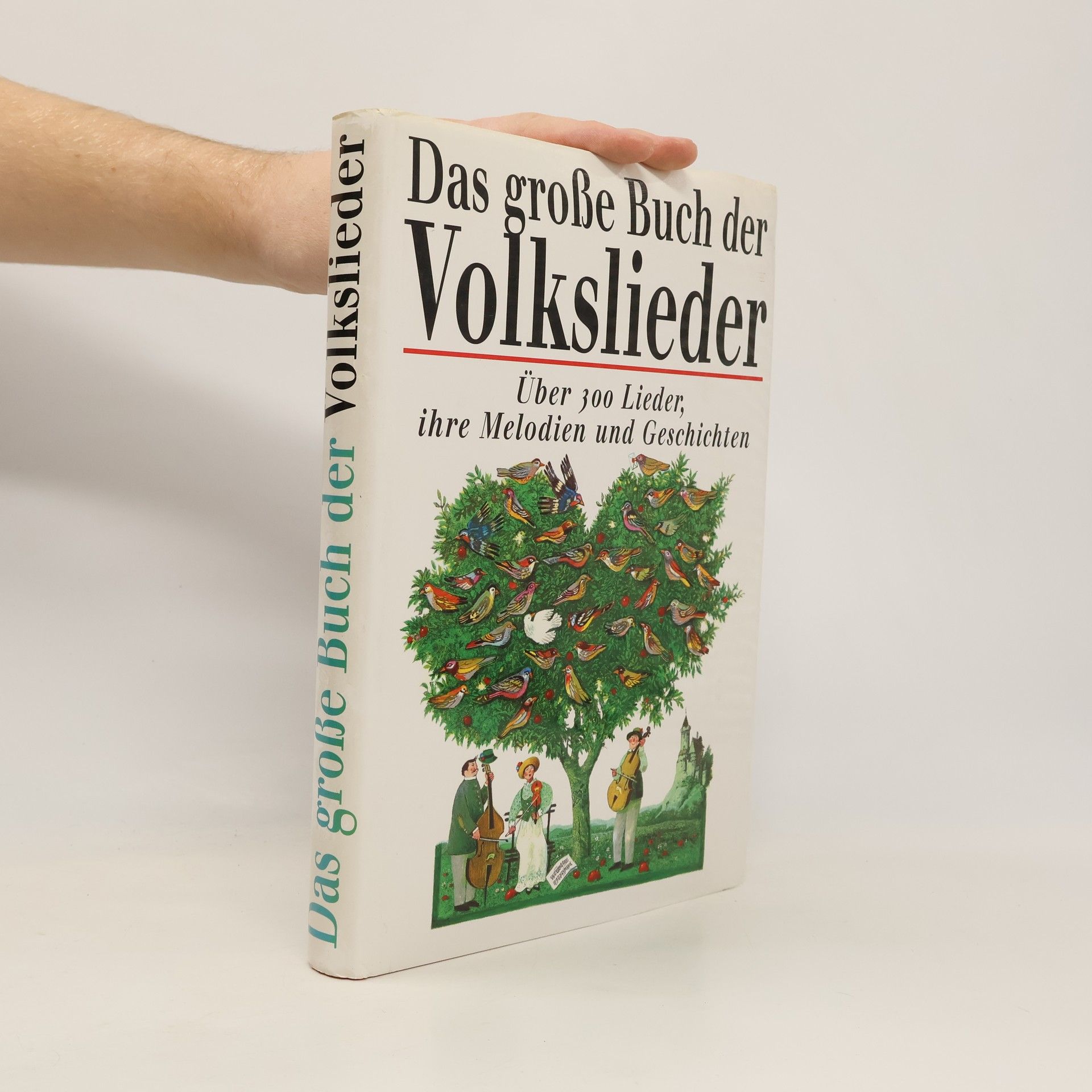 Autorenkollektiv Das große Buch der Volkslieder