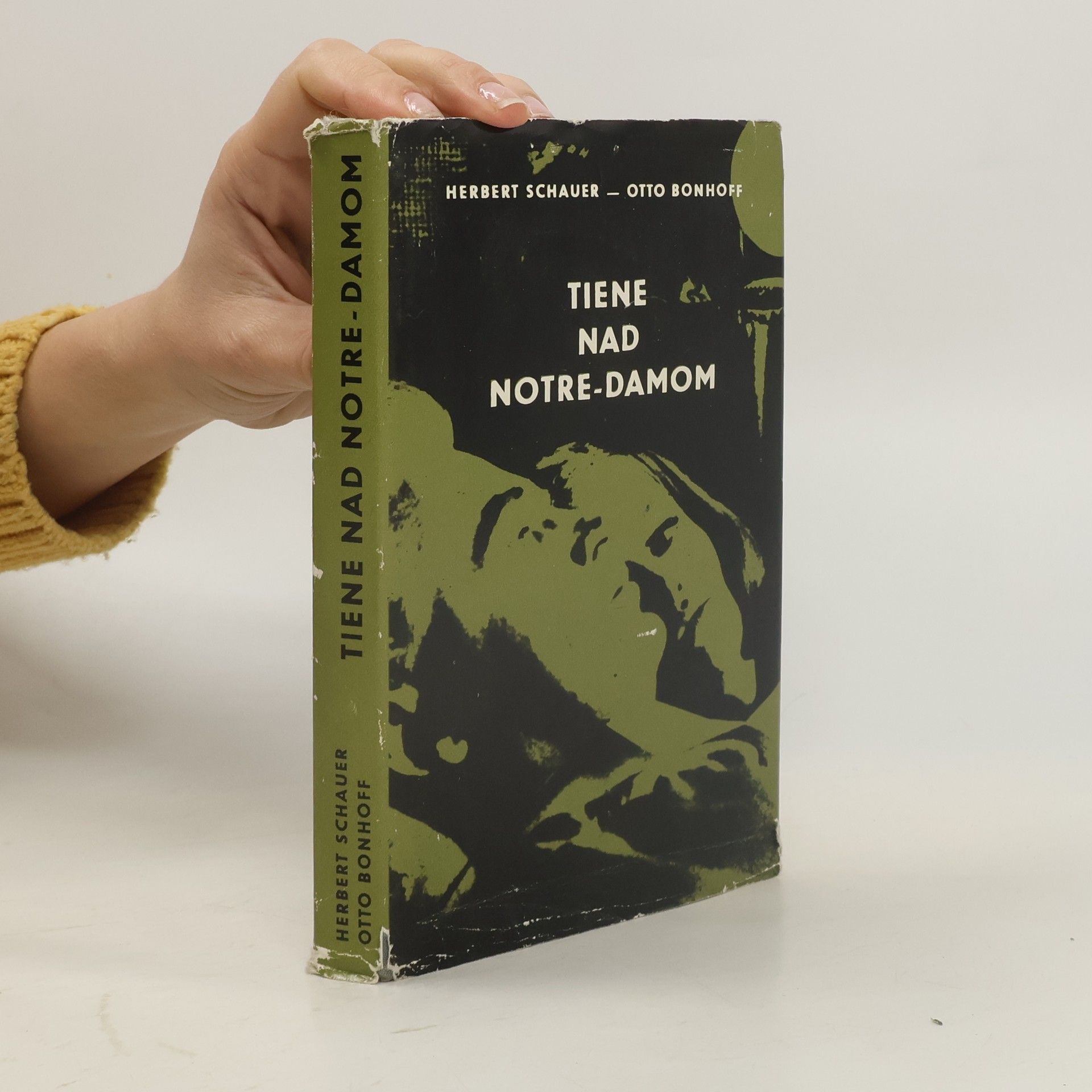 Tiene nad Notre-Damom