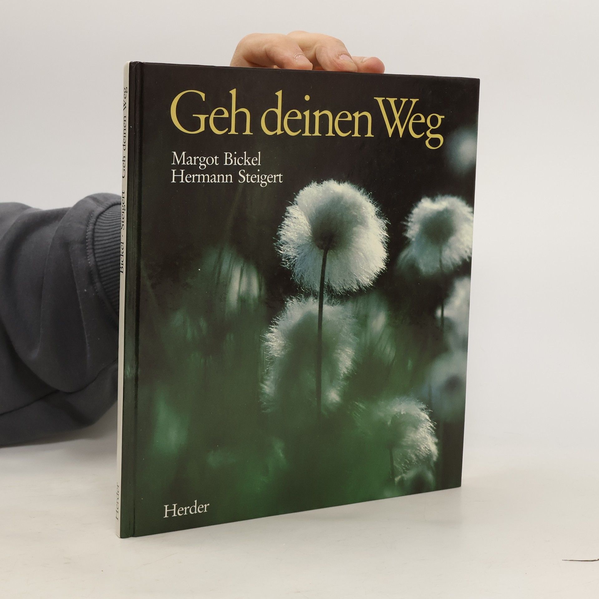 Geh deinen Weg