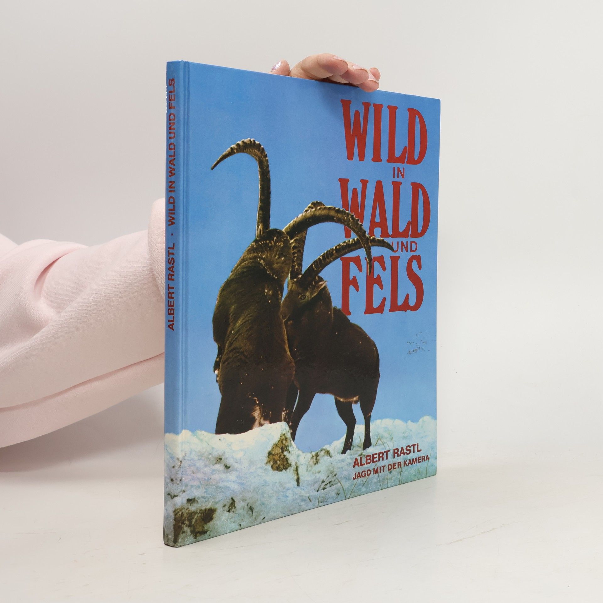 Wild in Wald und Fels