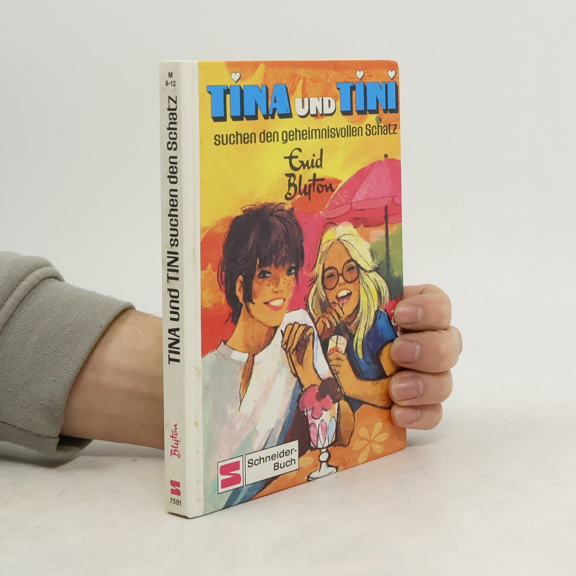 Enid Blyton Tina und Tini suchen den gehelmnisvollen Schatz