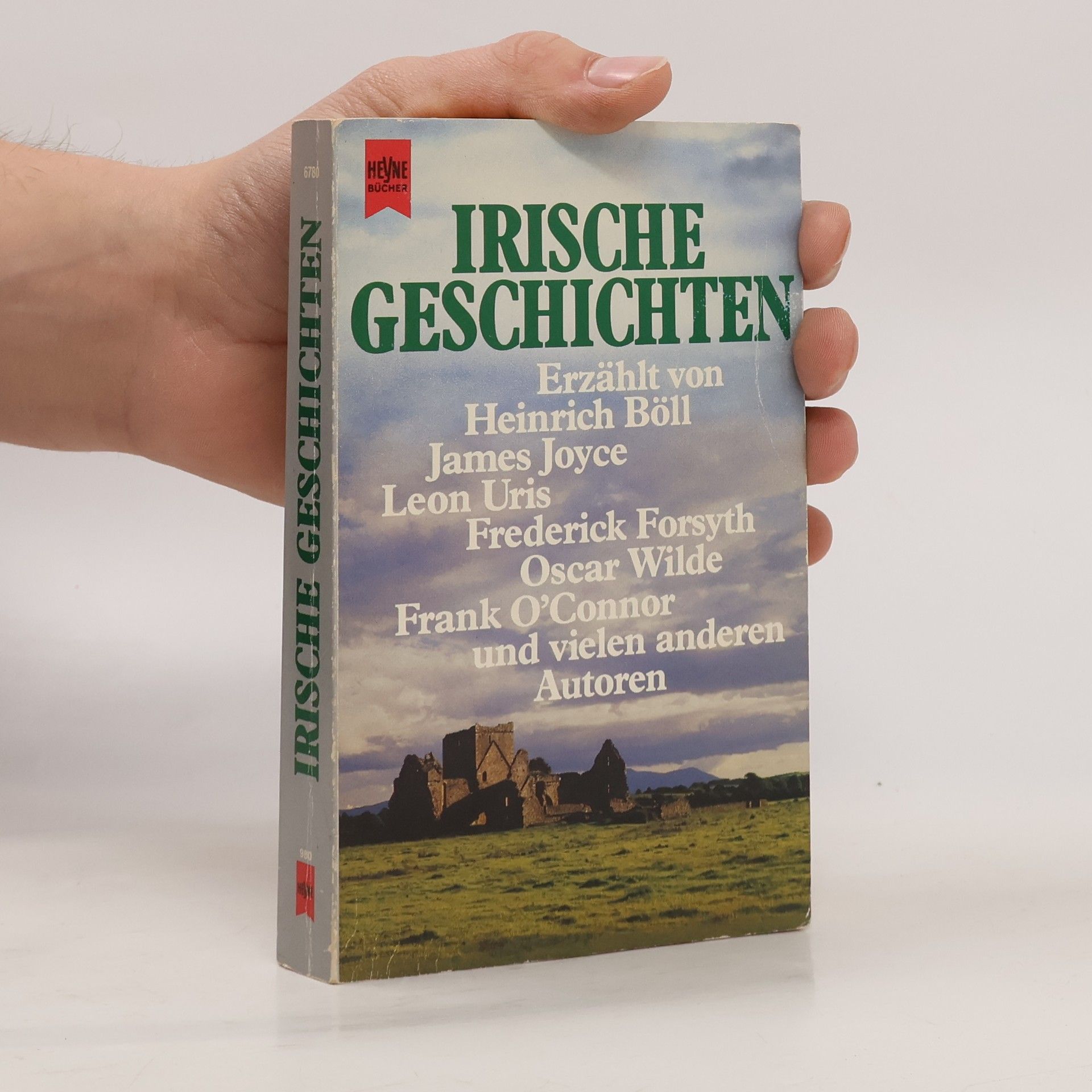 Manfred Kluge Irische Geschichten