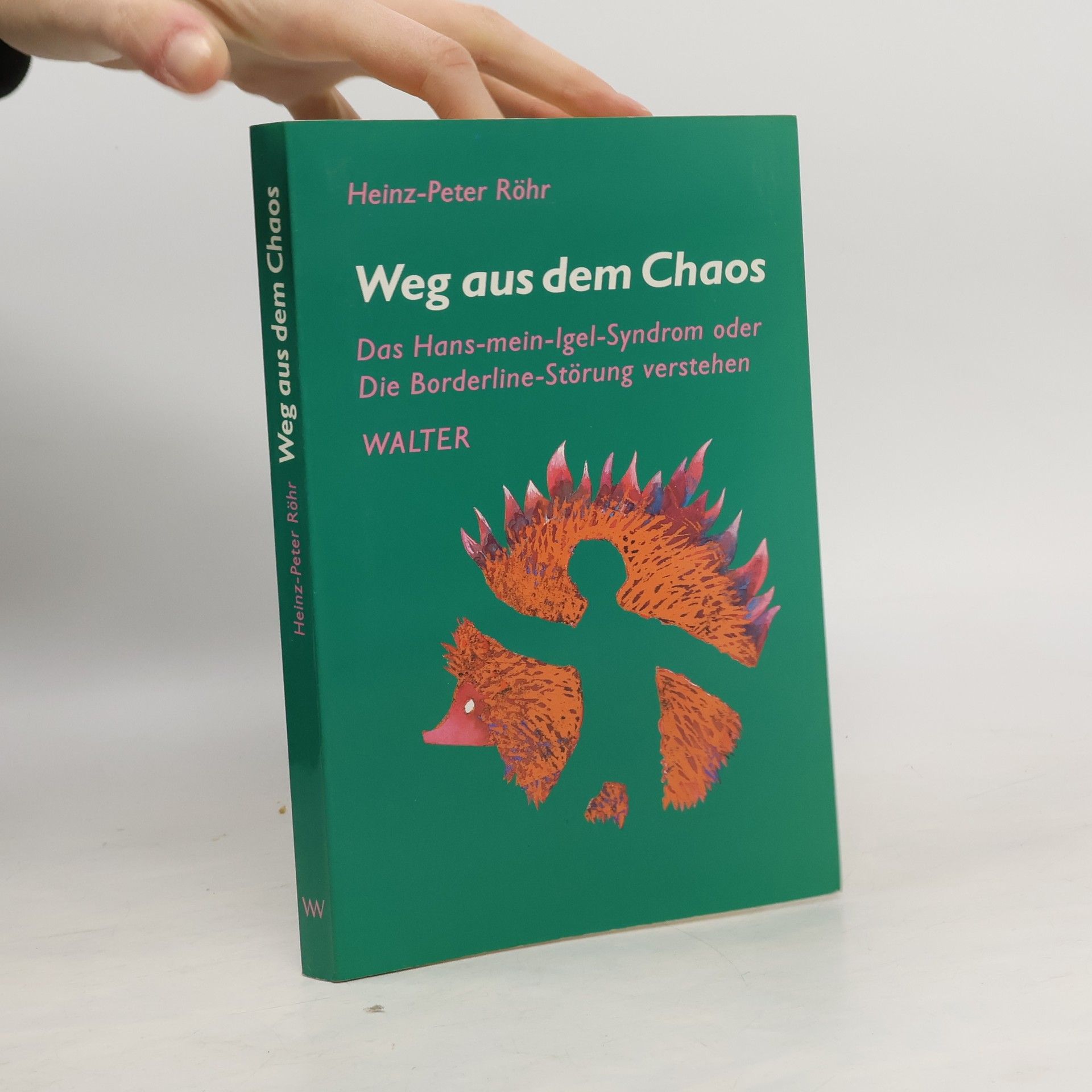 Heinz-Peter Röhr Weg aus dem Chaos