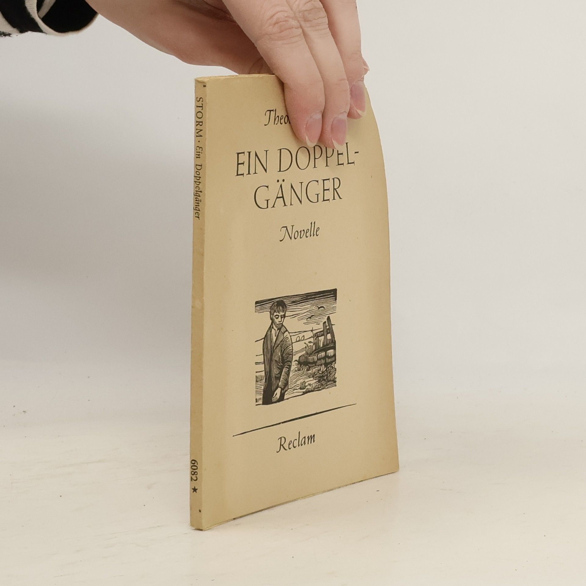 Theodor Storm Ein Doppelgänger