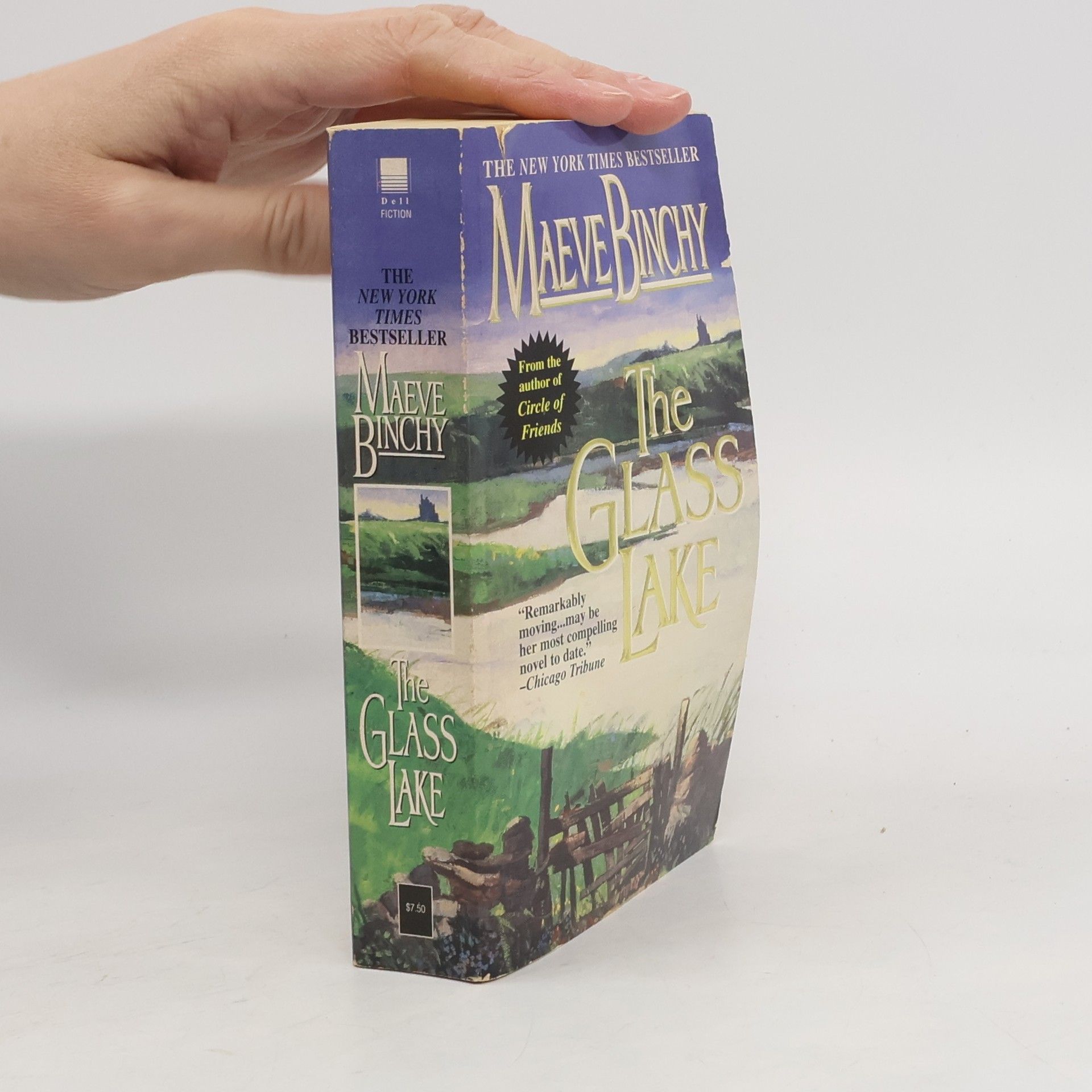 Maeve Binchy The Glass Lake