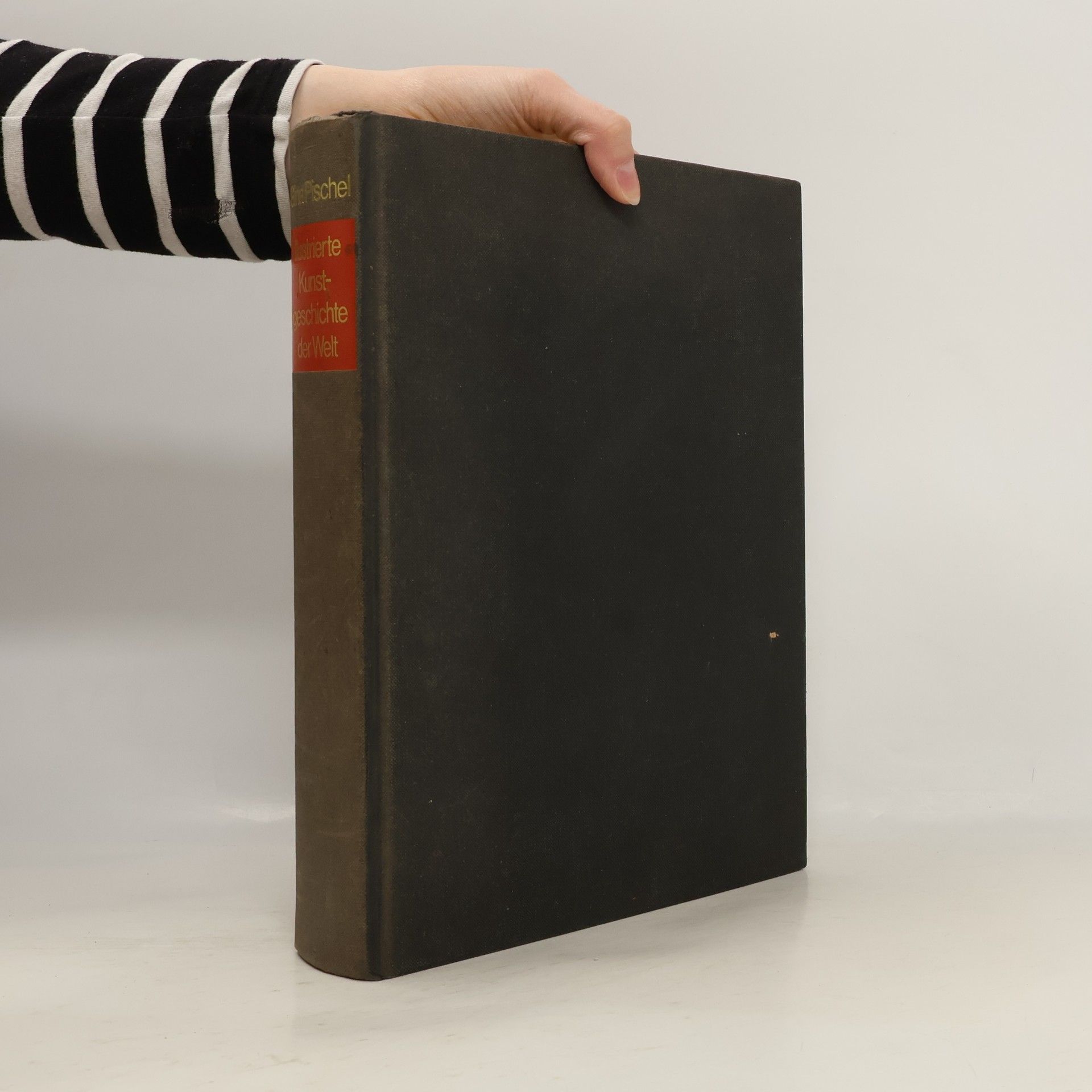 Illustrierte Kunstgeschichte der Welt