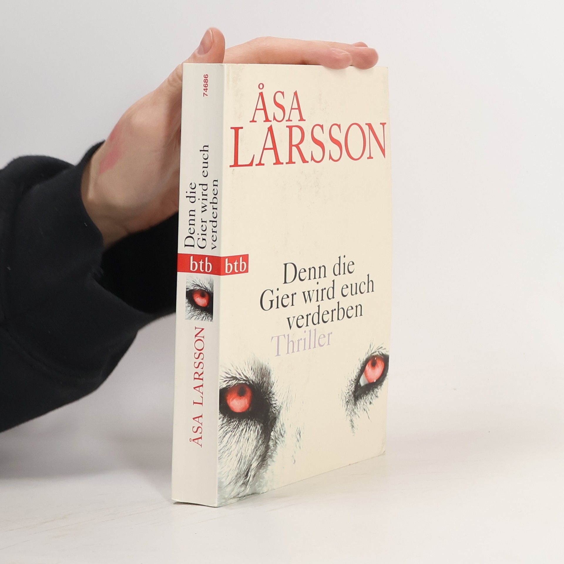 Åsa Larsson Denn die Gier wird euch verderben