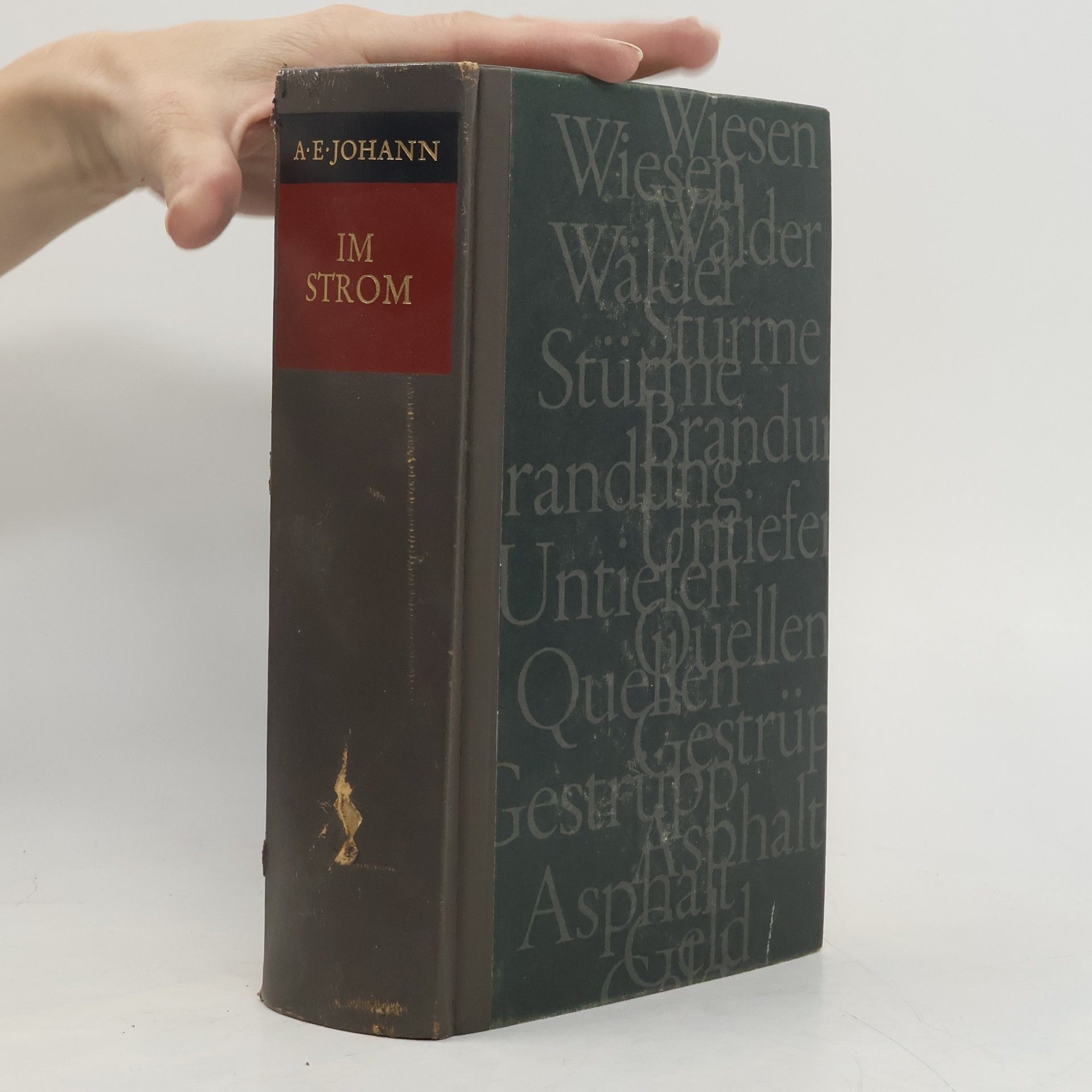 Alfred E. Johann Im Strom. Die Schaukel der sieben Jahrzehnte. 1. Band