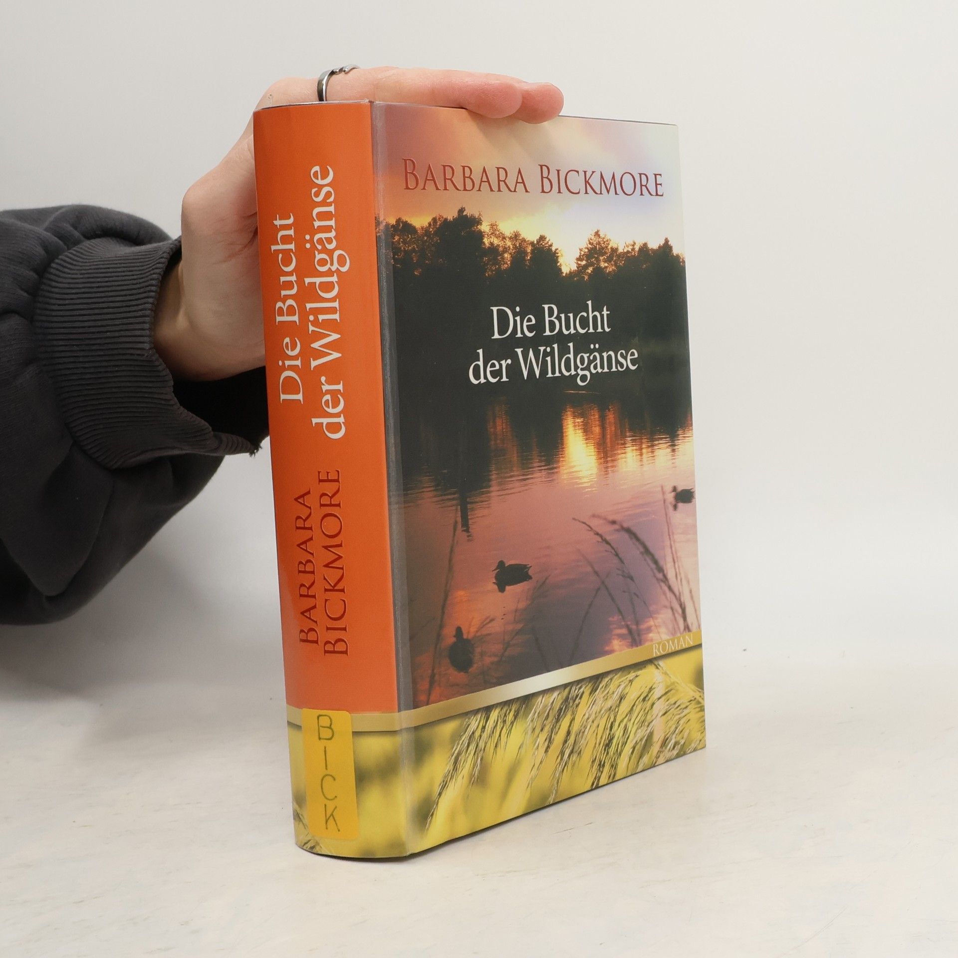 Barbara Bickmore Die Bucht der Wildgänse