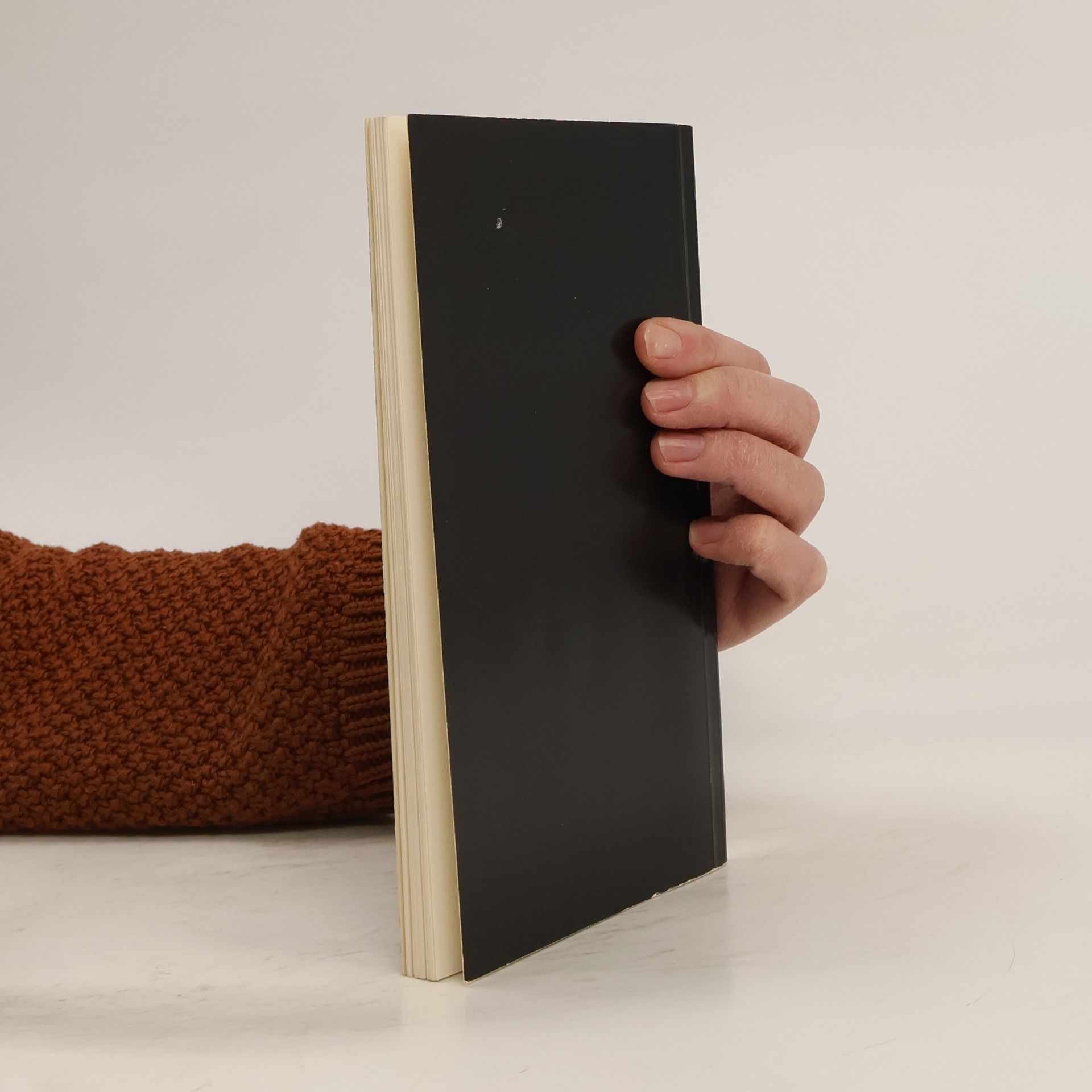 Gerhilde Dietrich Wenn Kieselsteine Schatten werfen