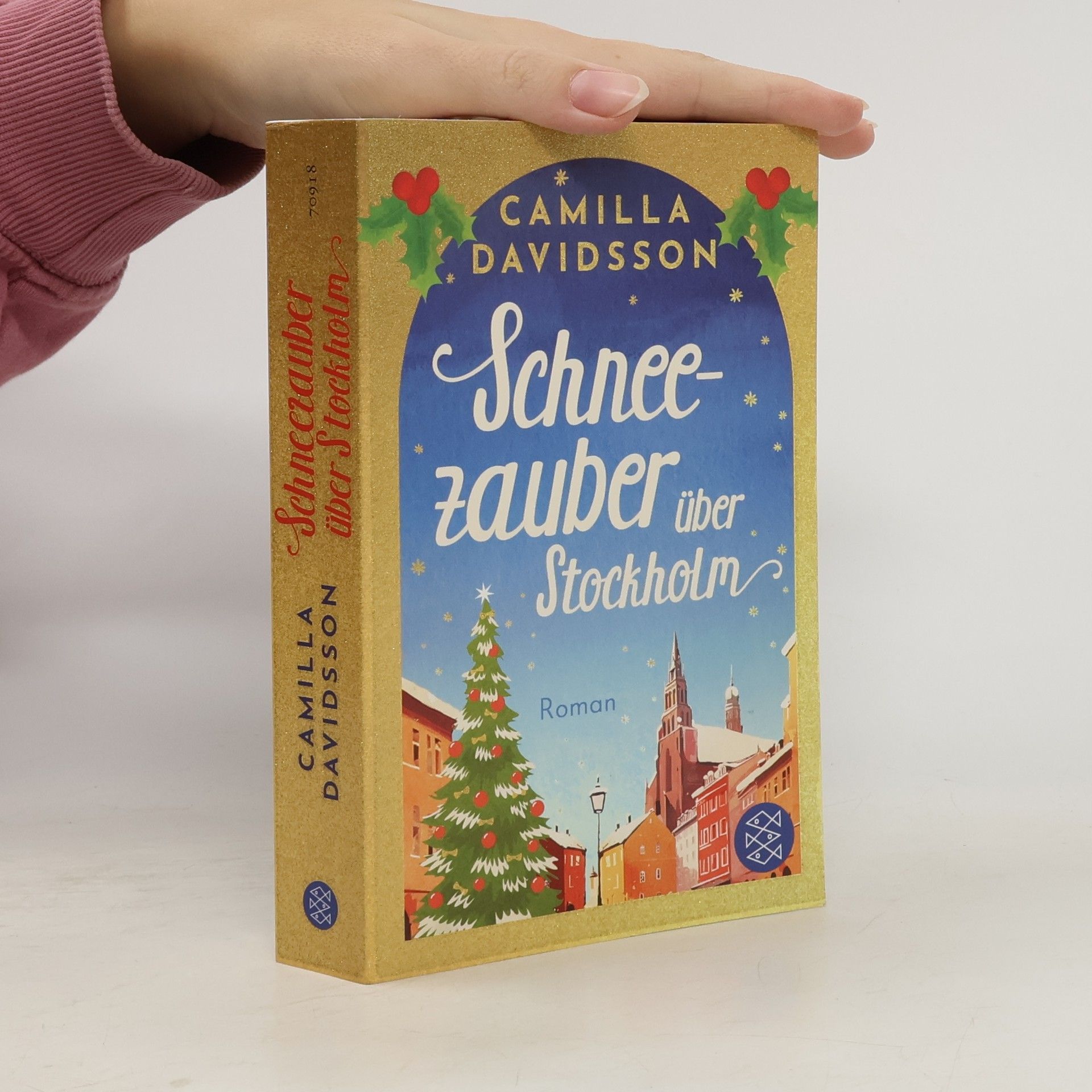 Schneezauber über Stockholm