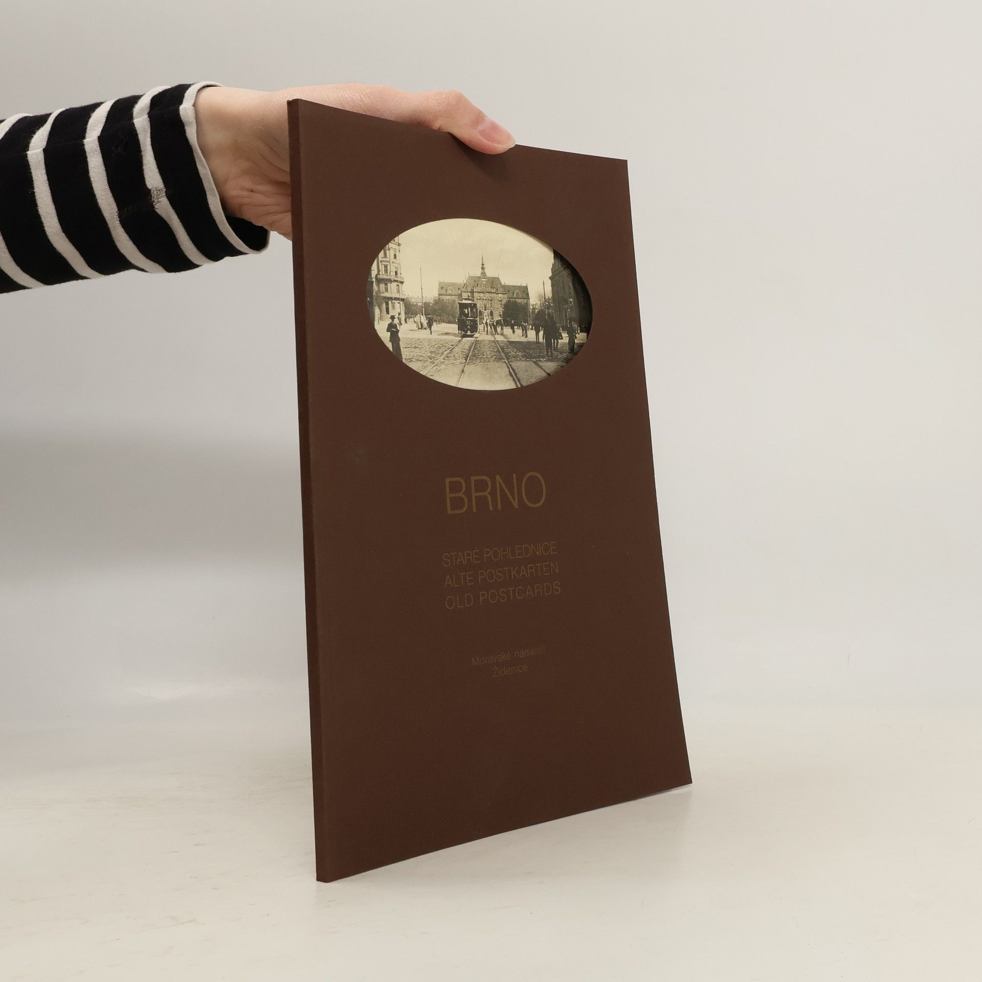 Kolektiv autorů Brno - staré pohlednice. Osmý díl