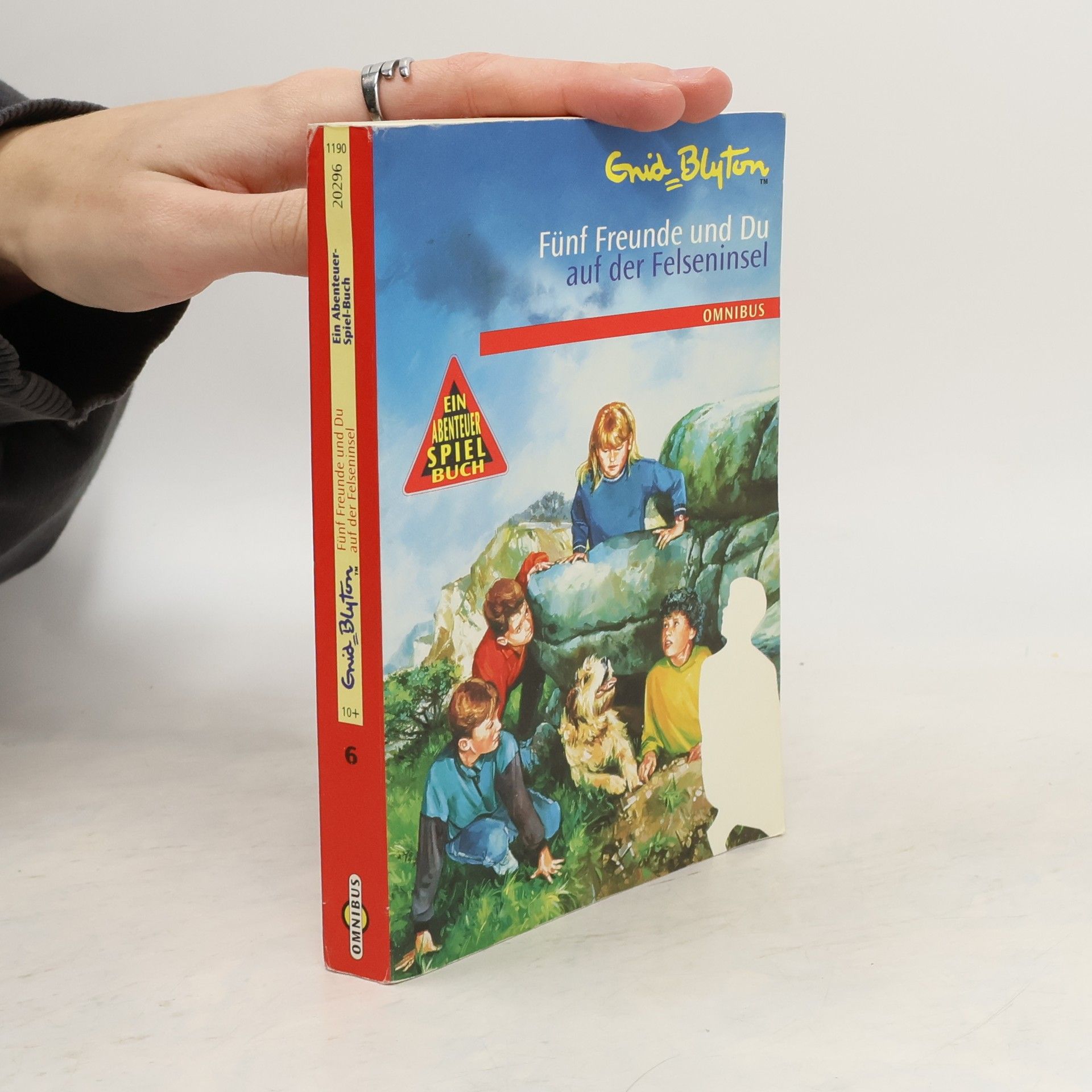 Enid Blyton Fünf Freunde und Du auf der Felseninsel