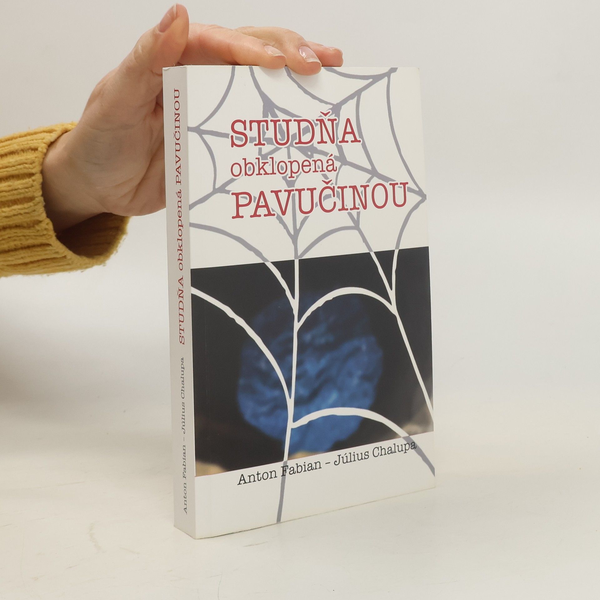 Studňa obklopená pavučinou