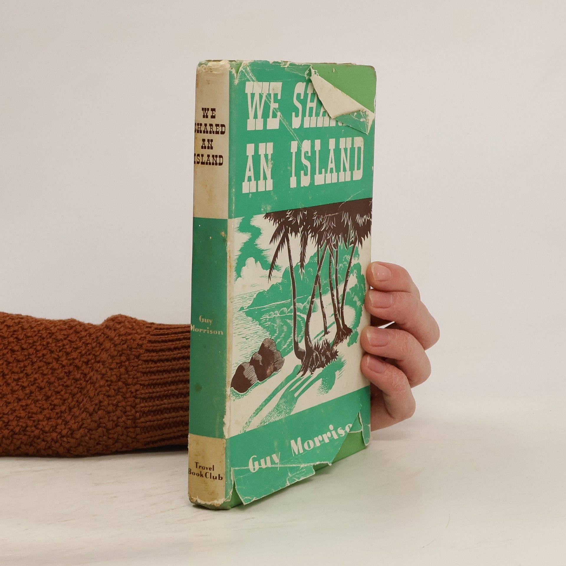 Guy Morrison We Shared an Island