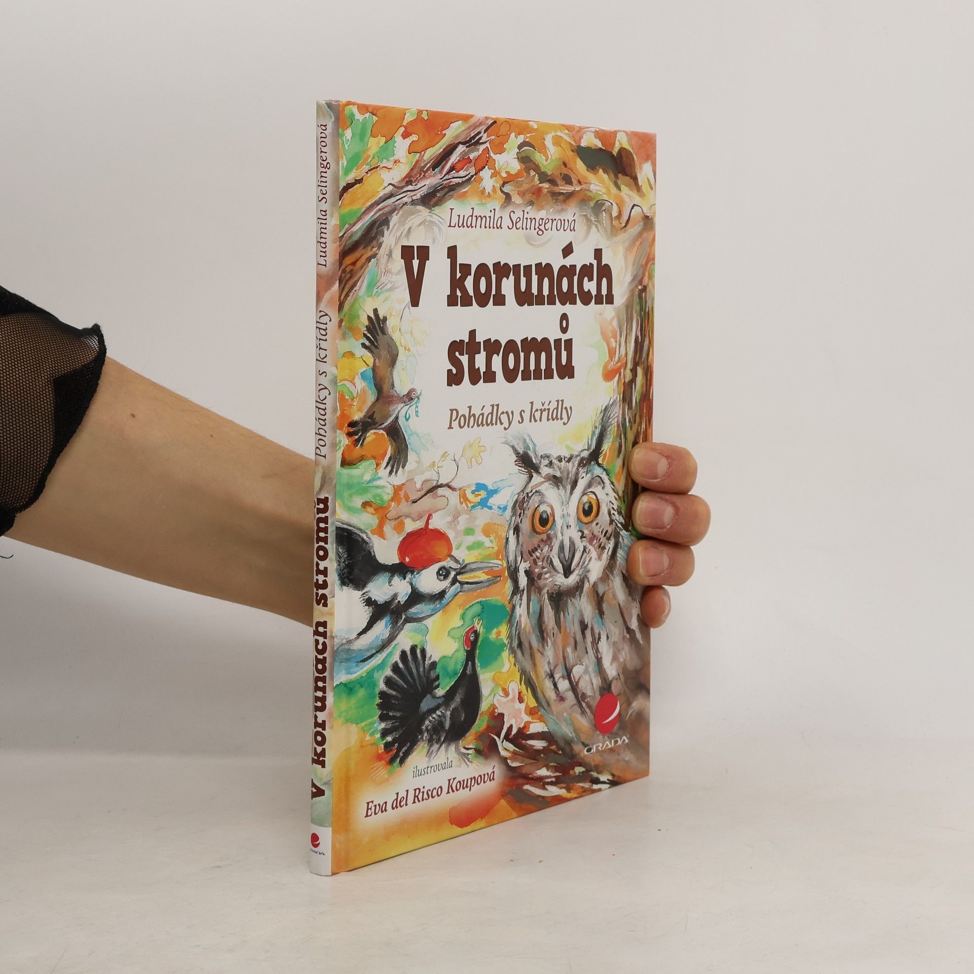 V korunách stromů : pohádky s křídly
