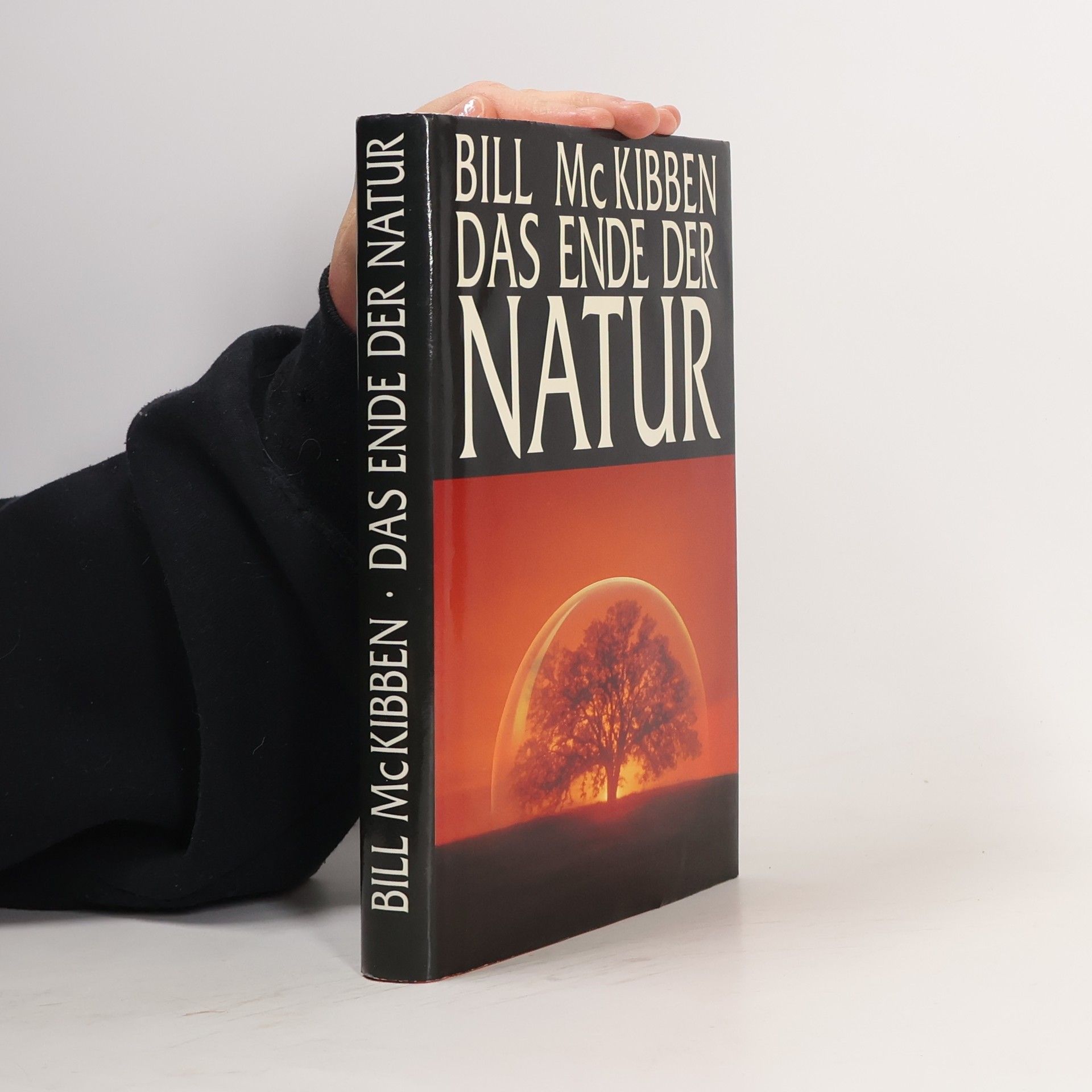 Bill McKibben Das Ende der Natur